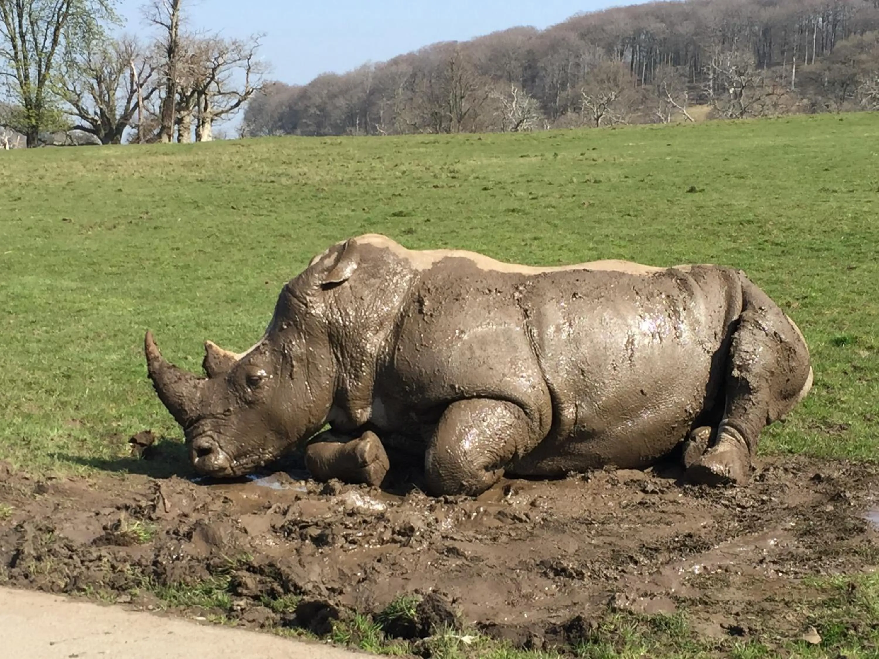 Nearby landmark in Upper Beeches