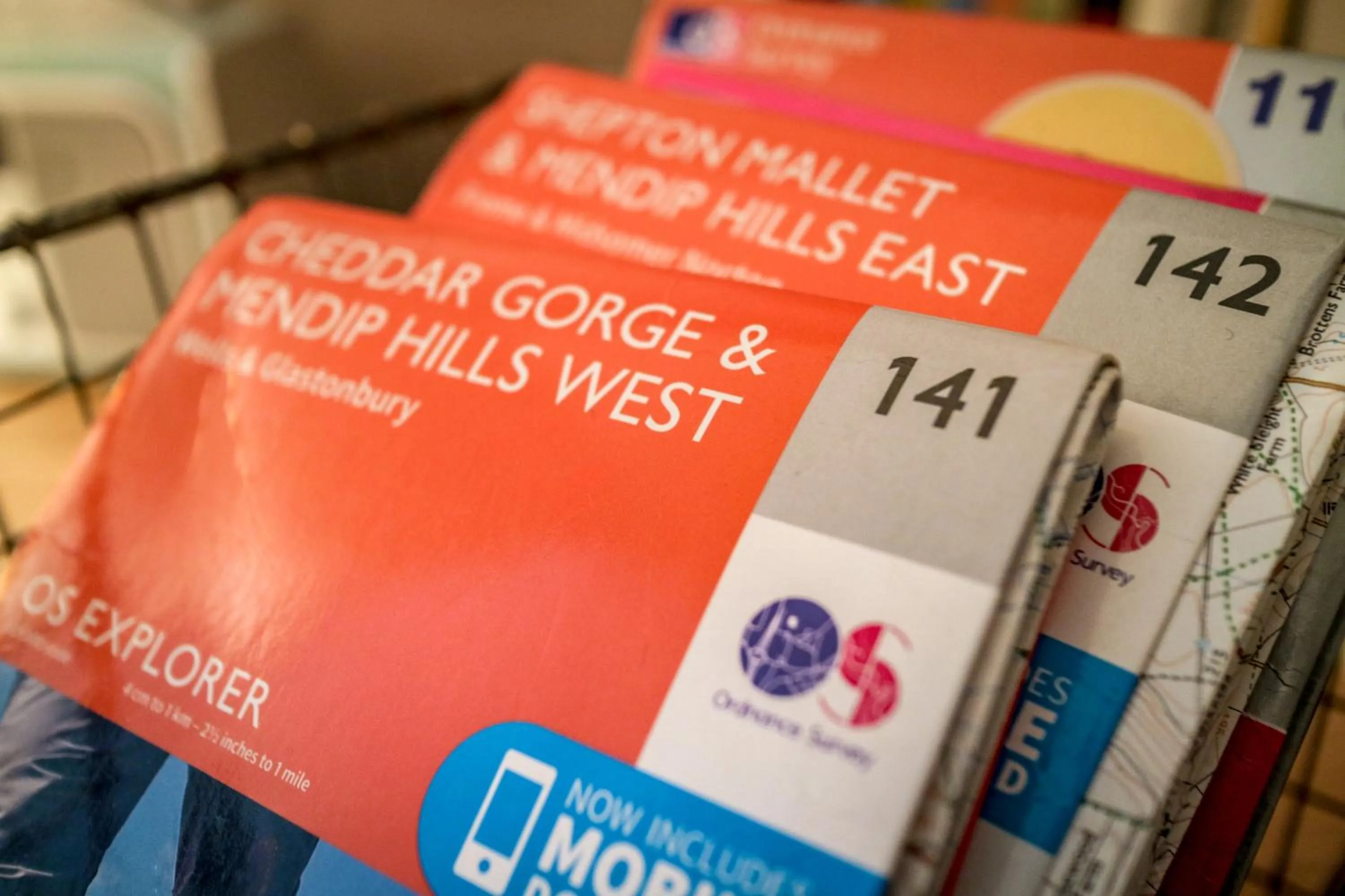 Decorative detail in Upper Beeches