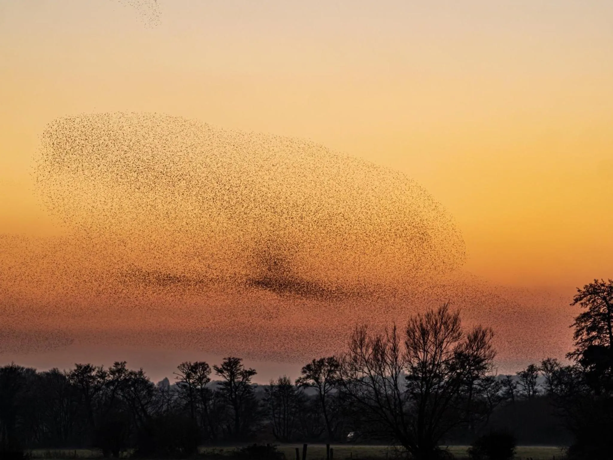 Natural landscape in Upper Beeches