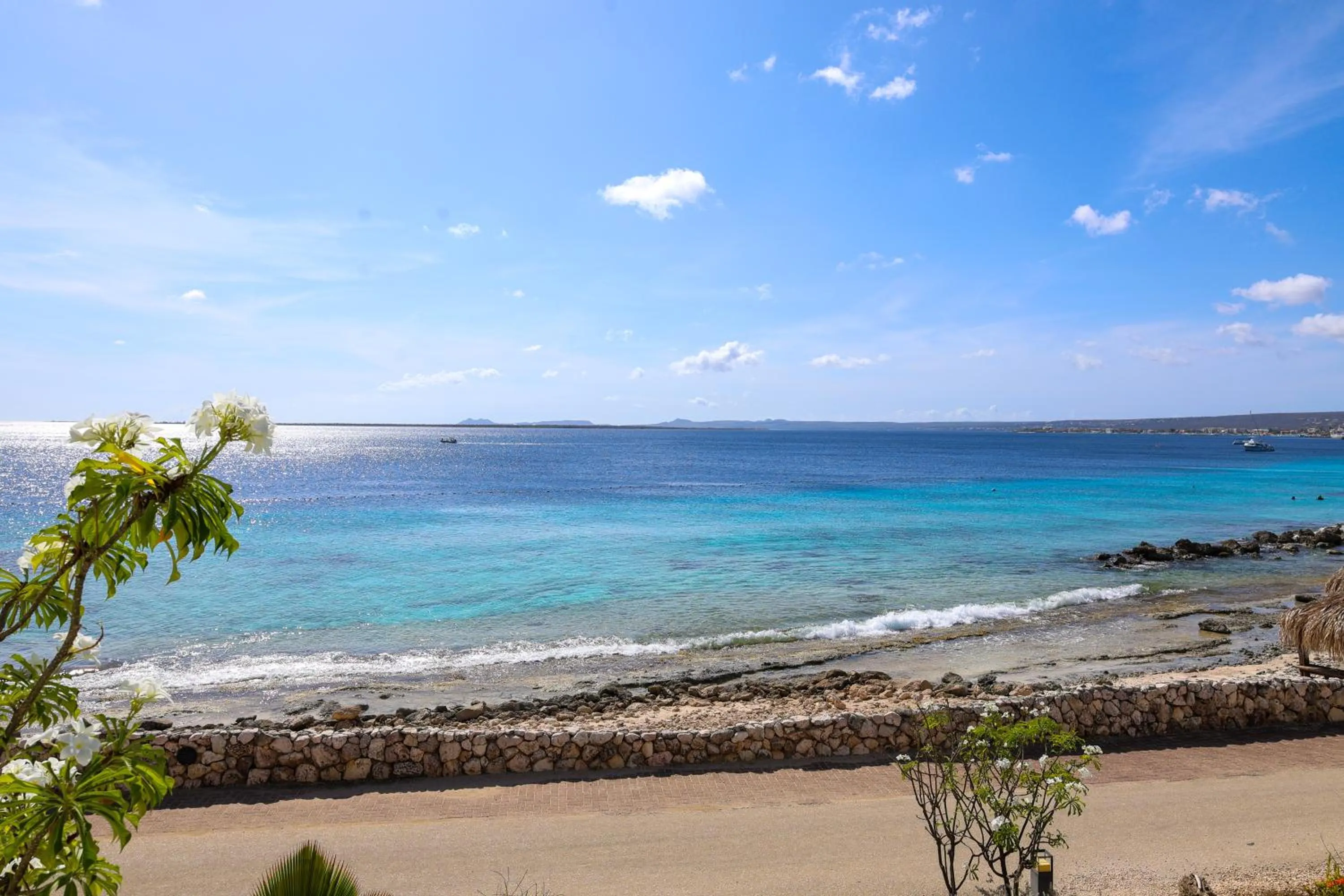 Grand Suite with Ocean View in Van der Valk Plaza Beach & Dive Resort Bonaire - ALL INCLUSIVE