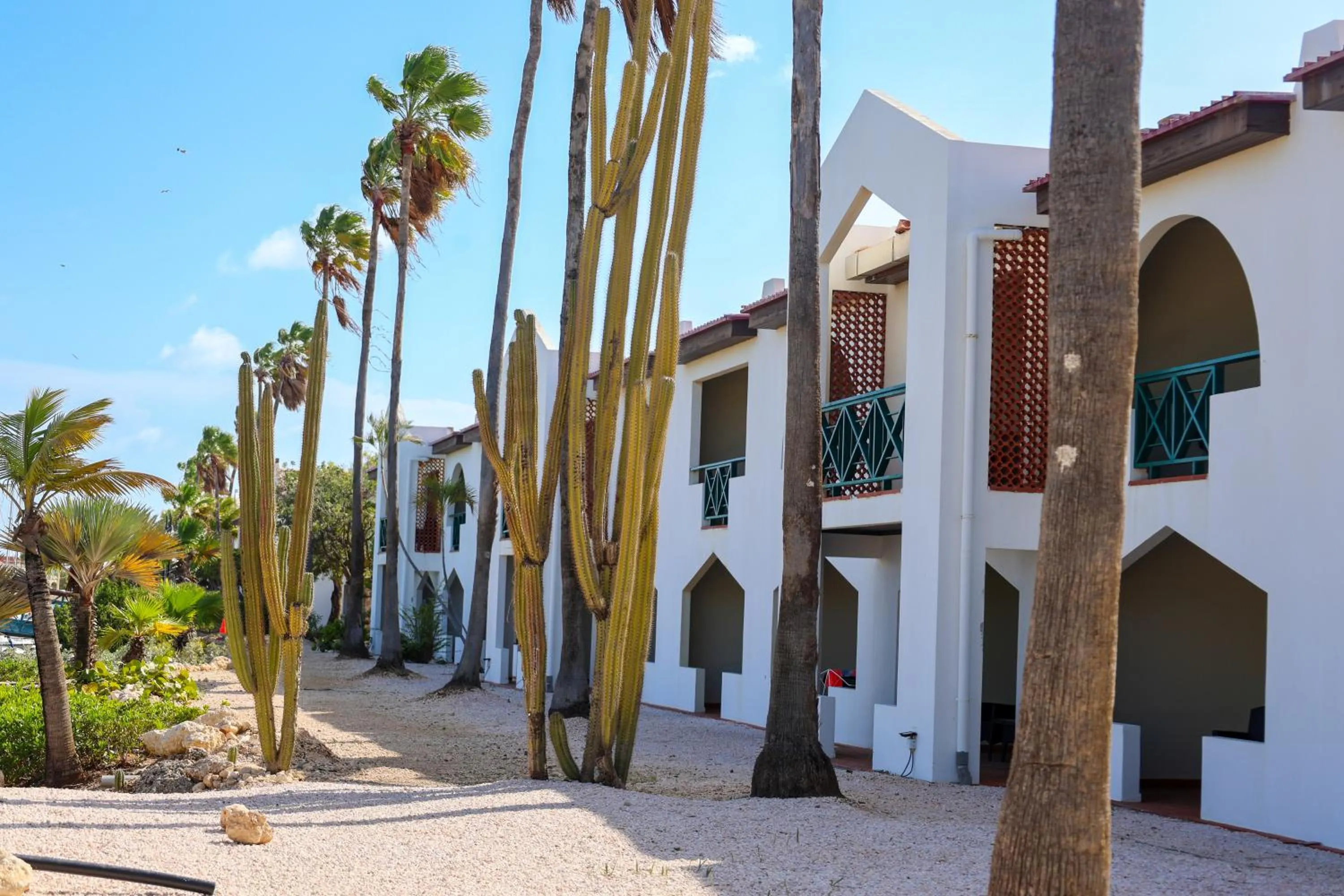 Junior Suite Laguna in Van der Valk Plaza Beach & Dive Resort Bonaire - ALL INCLUSIVE