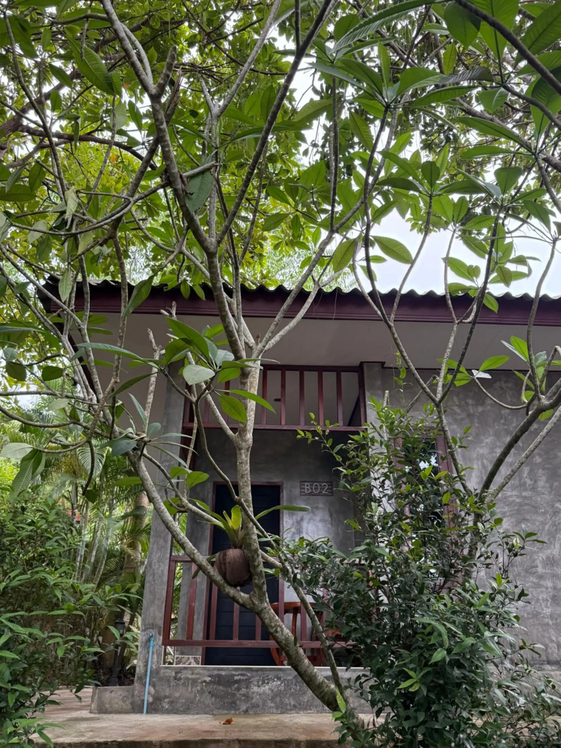 Deluxe Bungalow in Siam Lanta Resort - SHA Extra Plus Deluxe Bungalow in Siam Lanta Resort - SHA Extra Plus