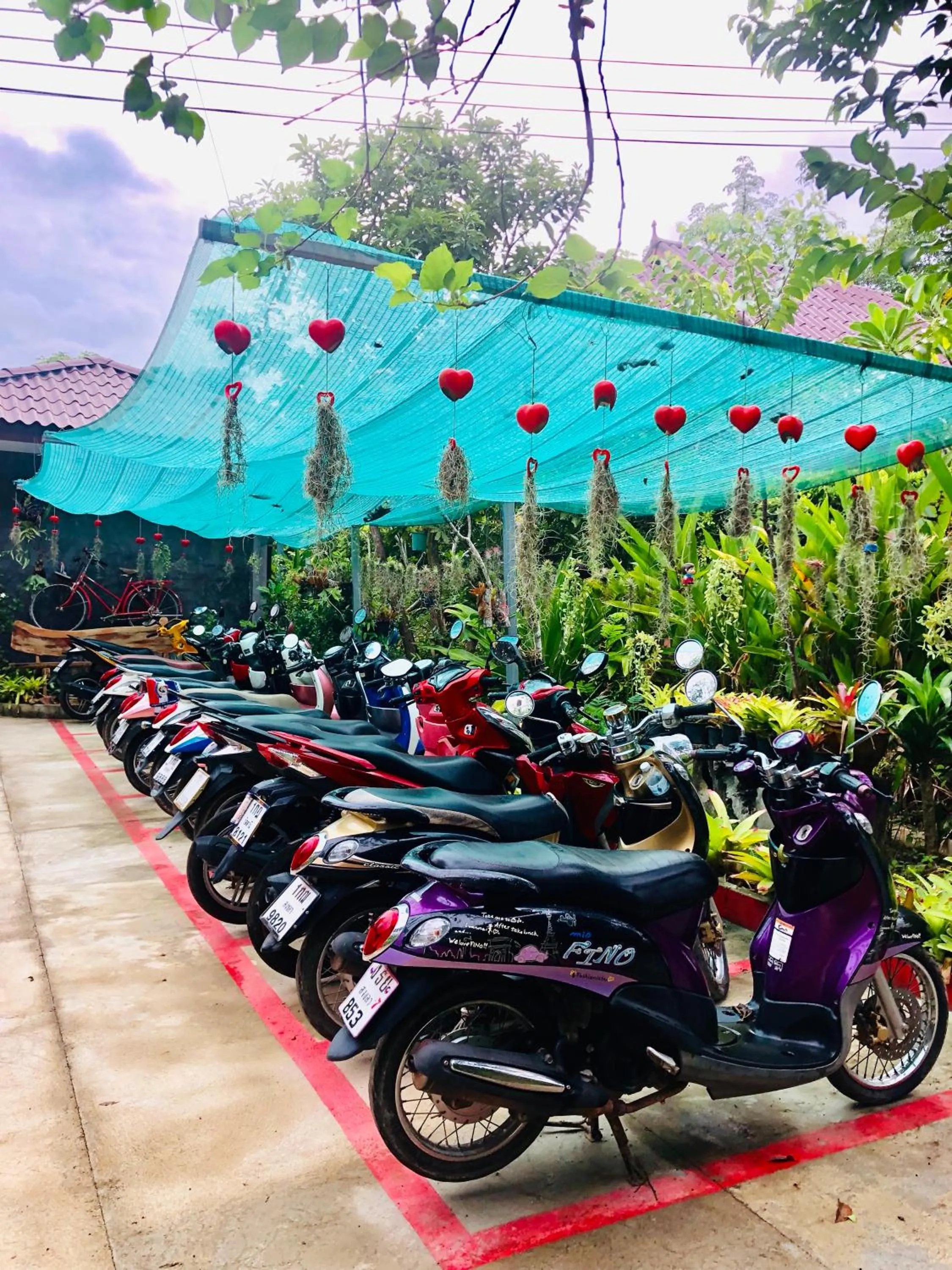 Activities in Siam Lanta Resort - SHA Extra Plus