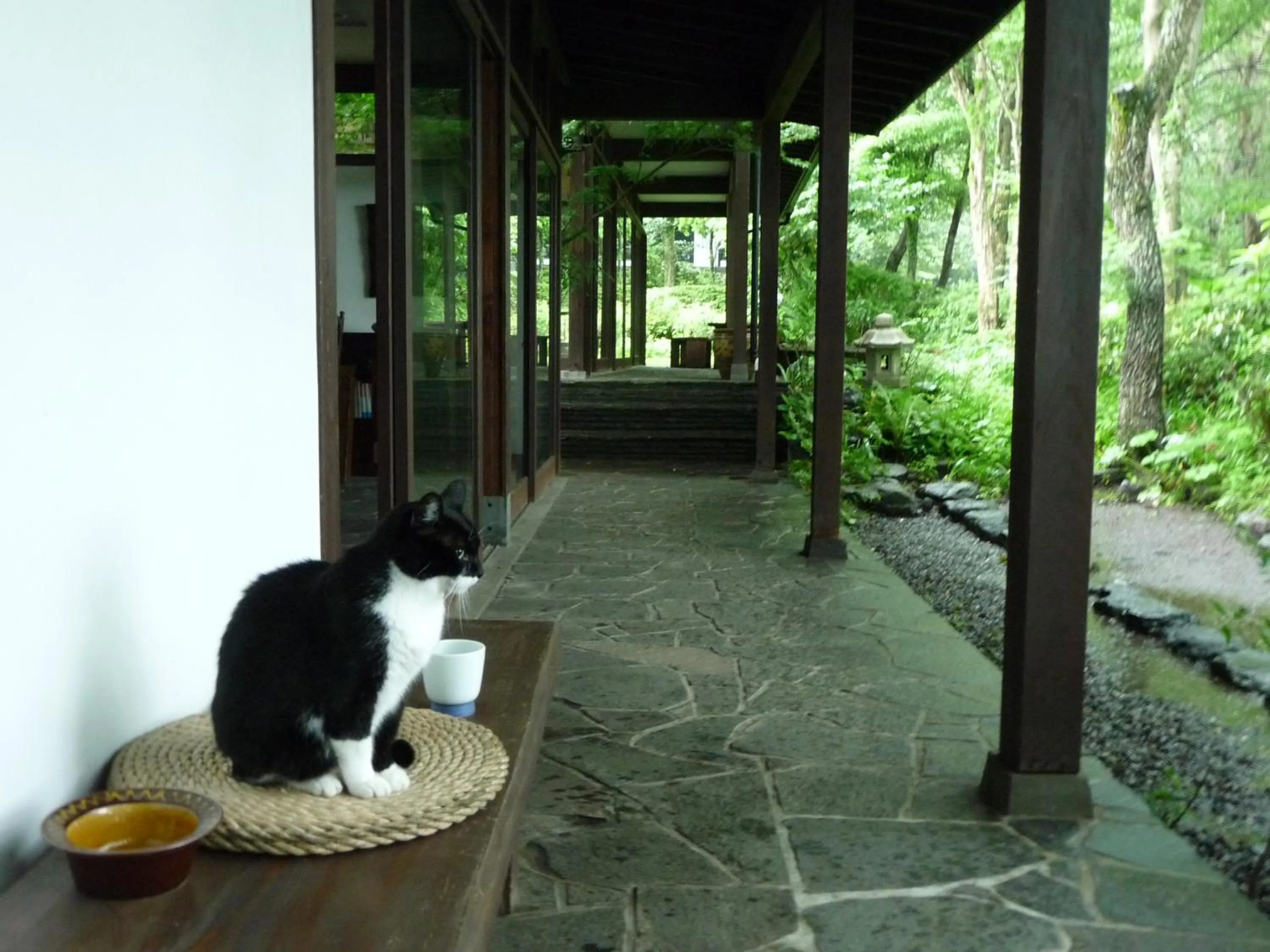 Day in Yufuin Onsen Auberge Kunugiya