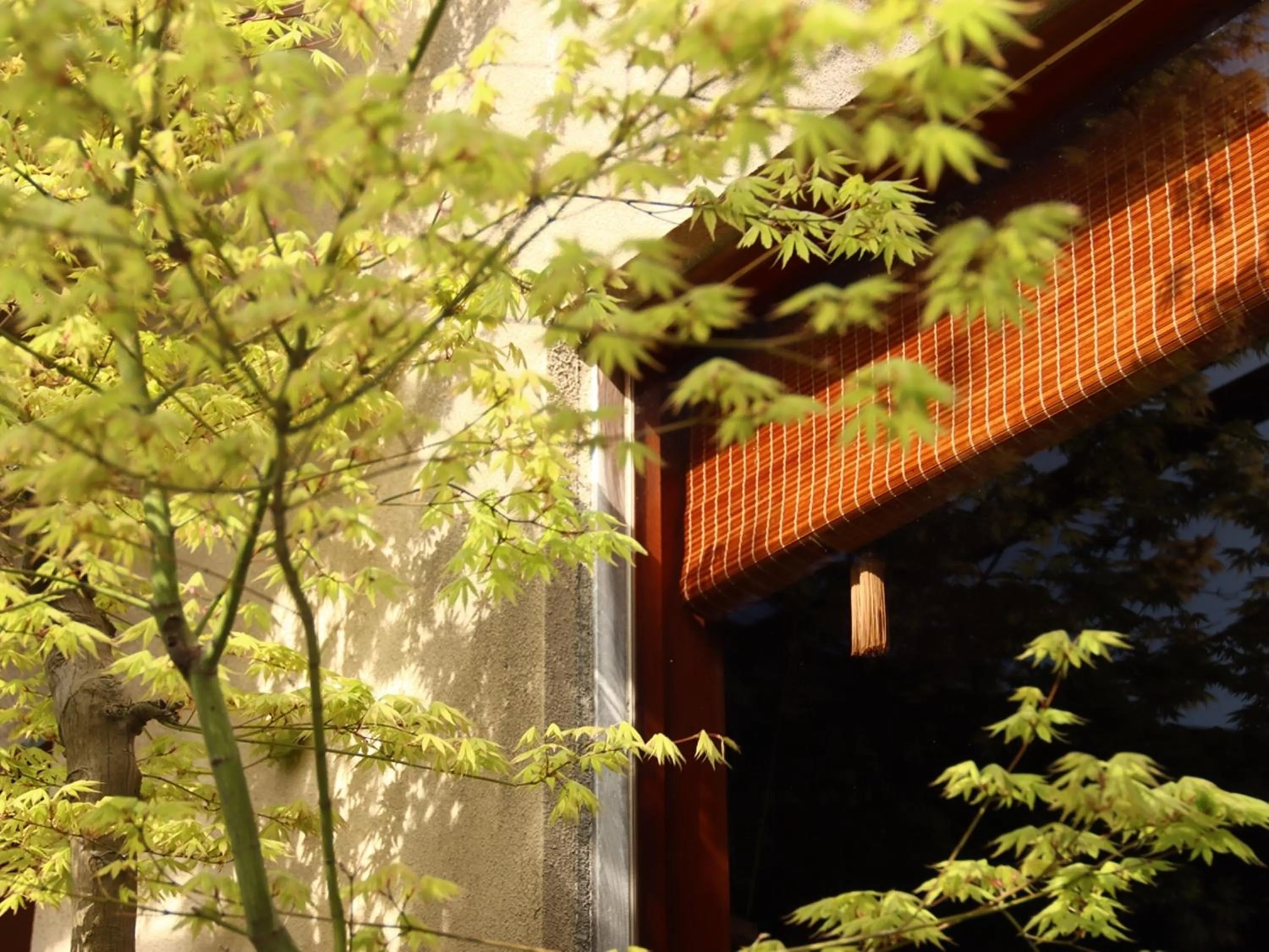 Day in Ryokan Karasawa