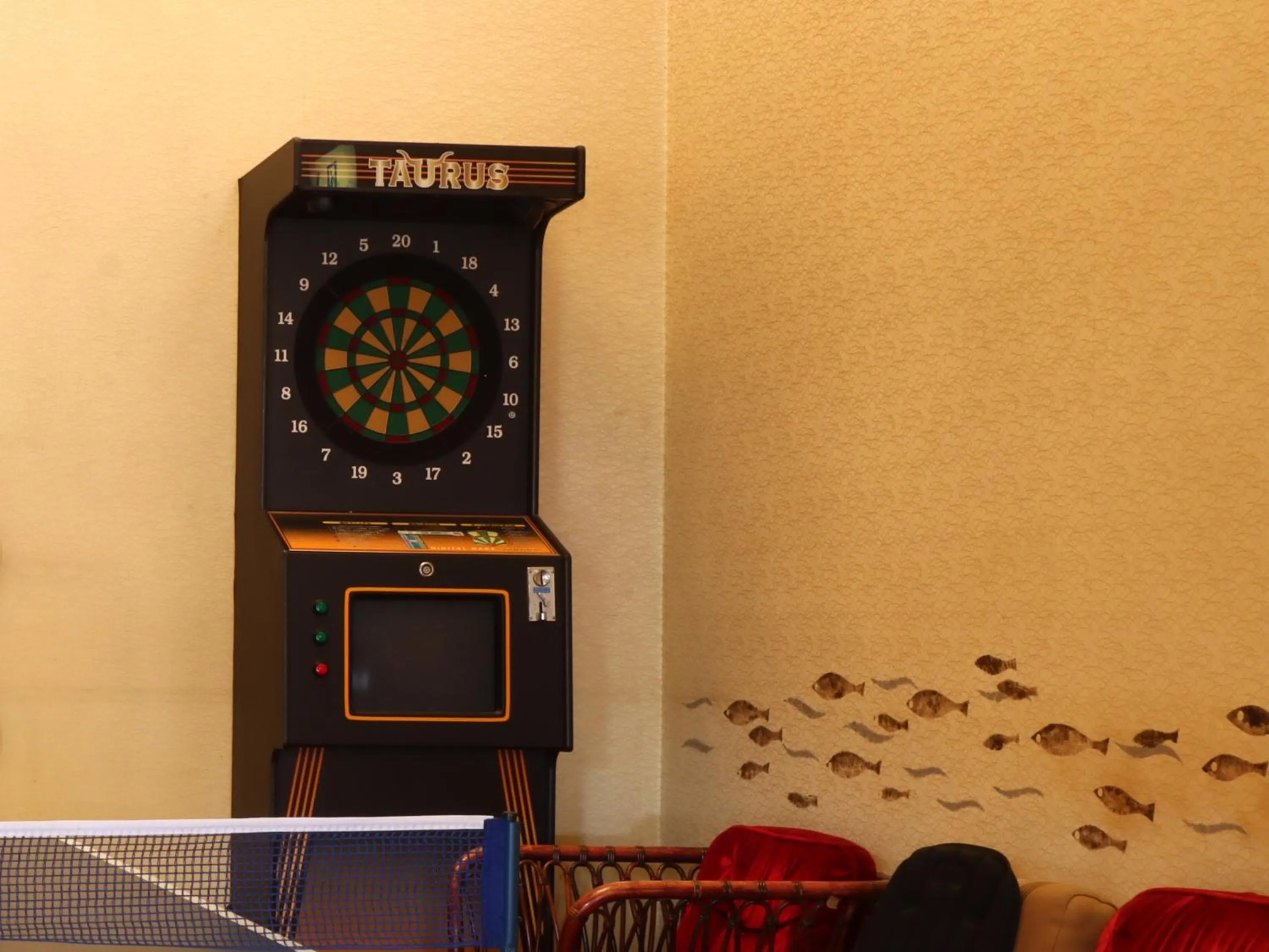 Darts in Ryokan Karasawa
