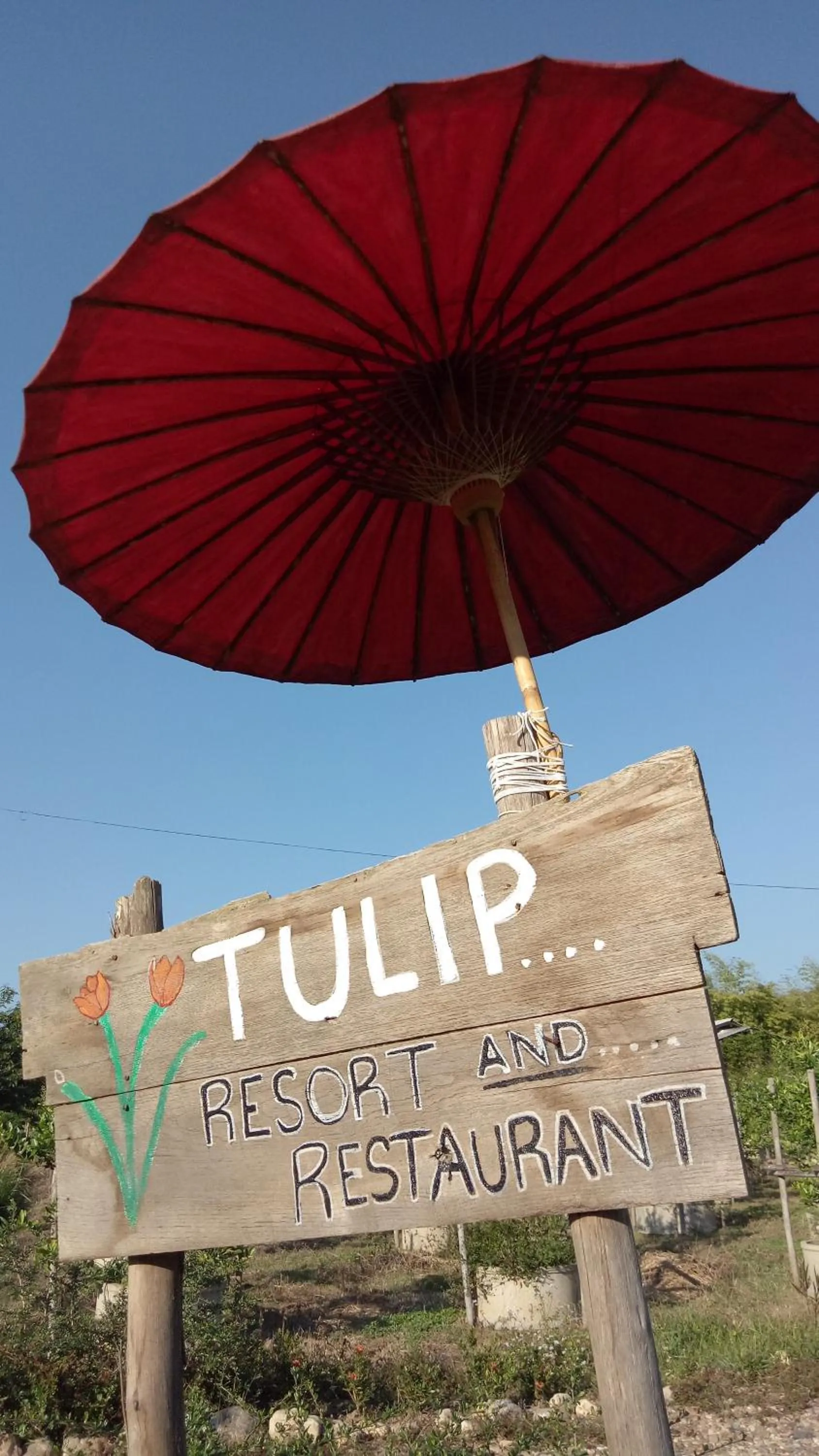 Tulip Resort Pai