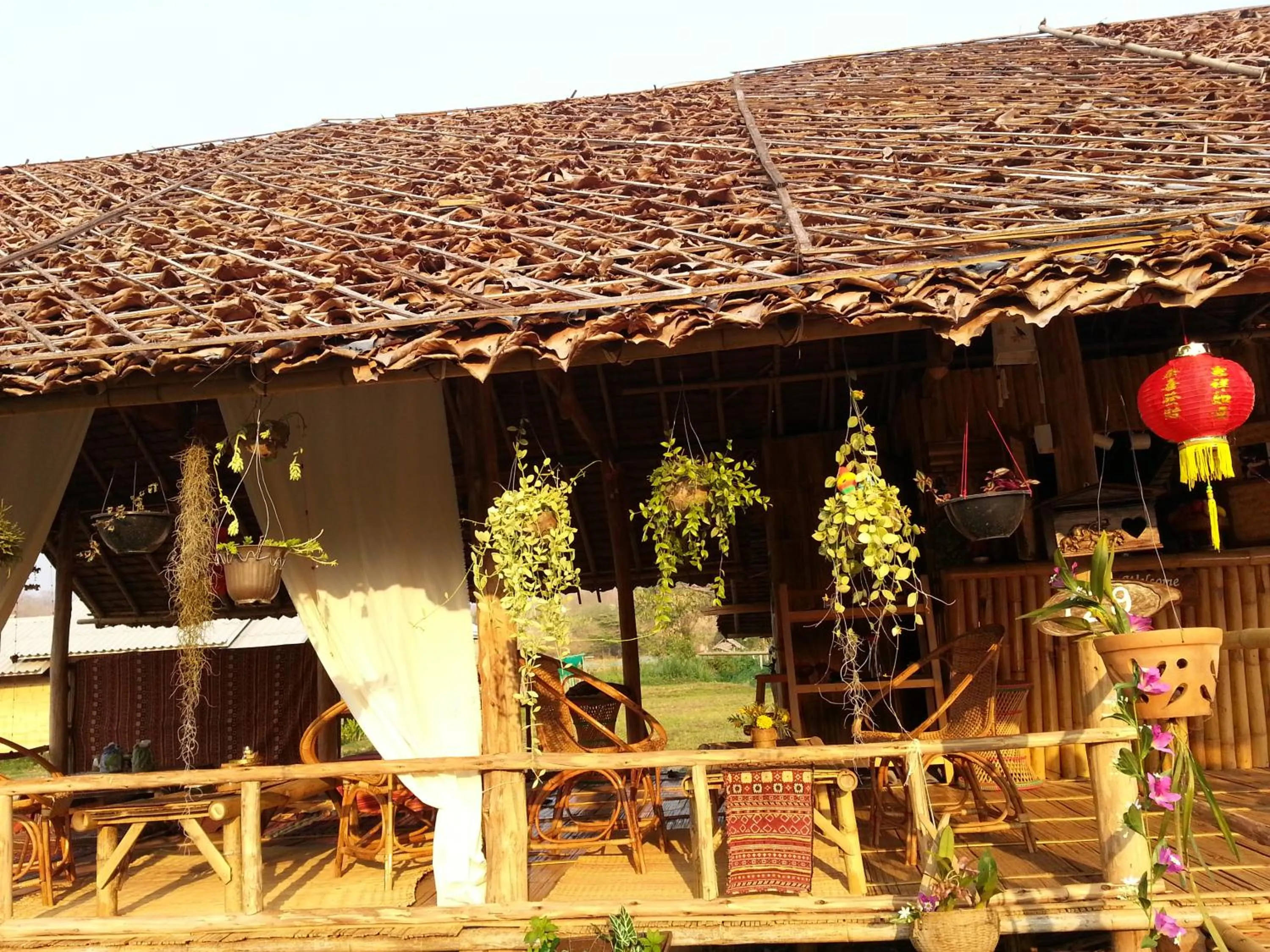 Tulip Resort Pai
