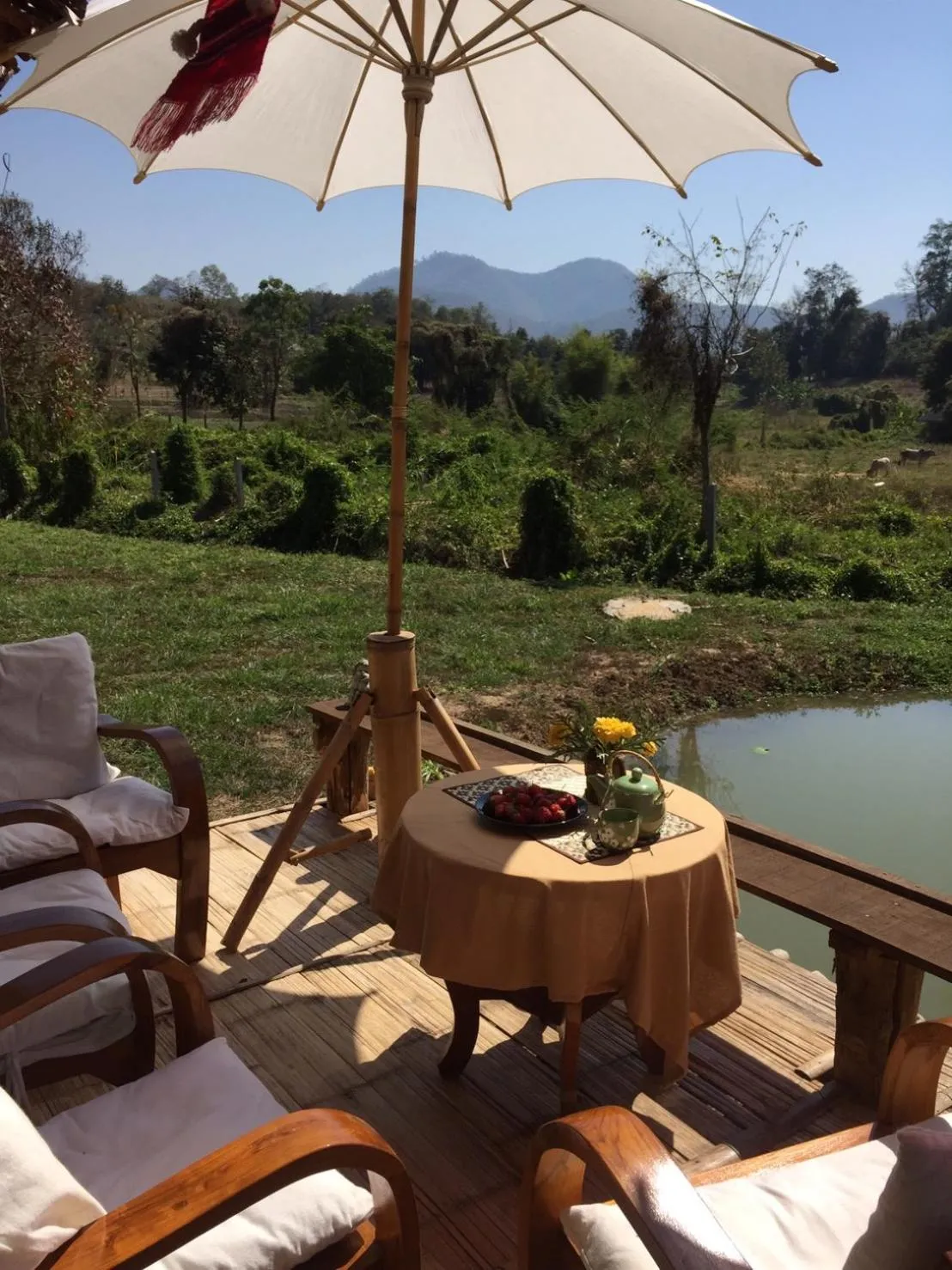 Tulip Resort Pai