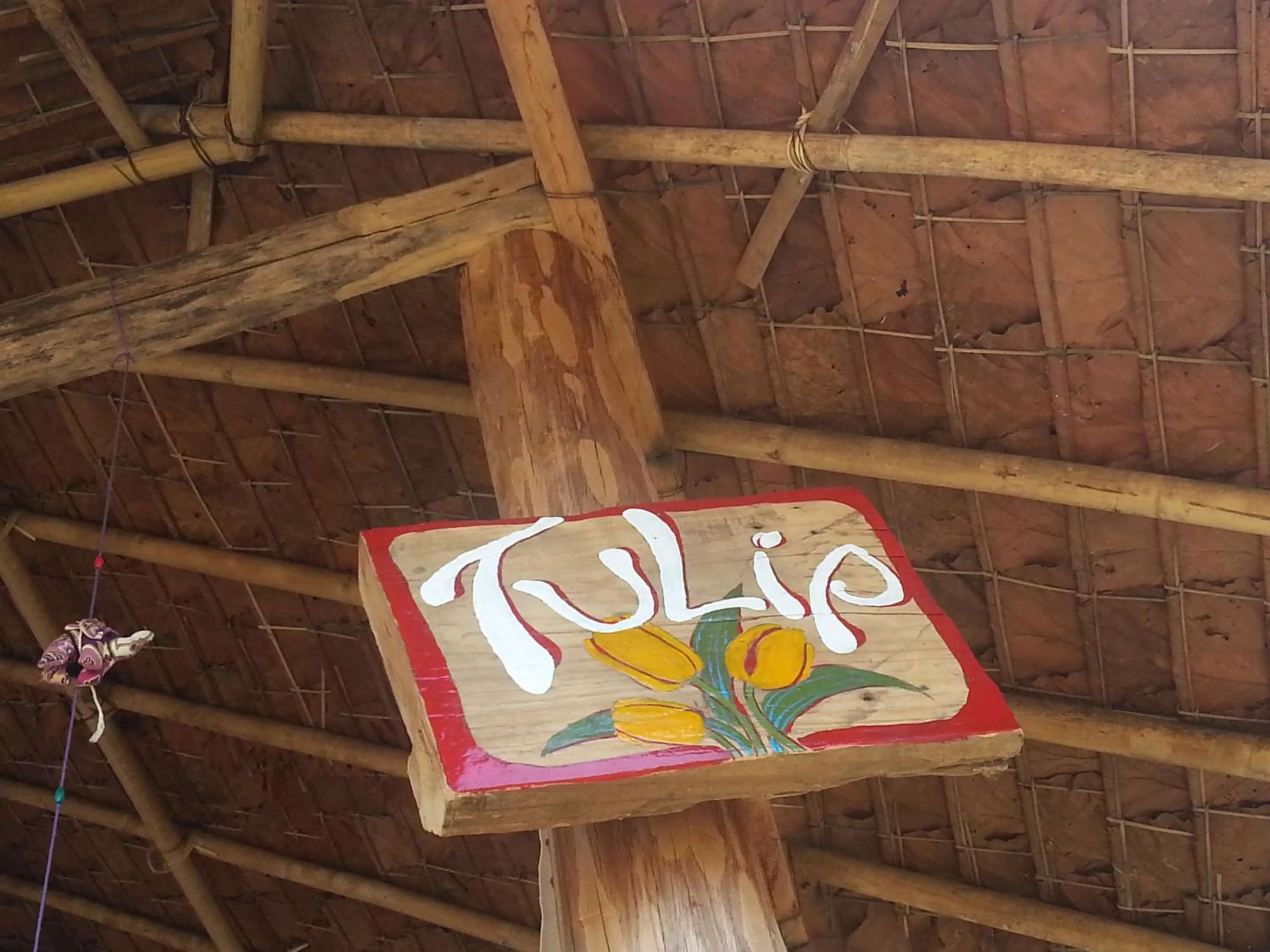 Tulip Resort Pai