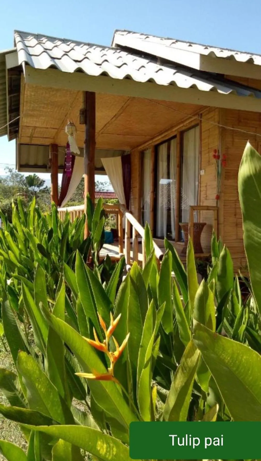 Tulip Resort Pai