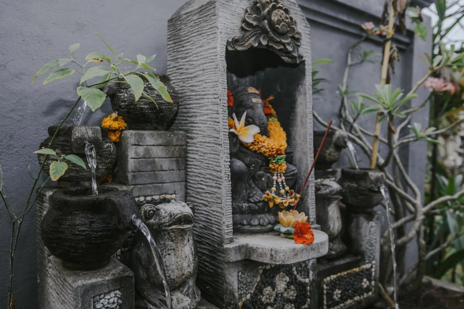 Animals in Nerima Hut Lembongan