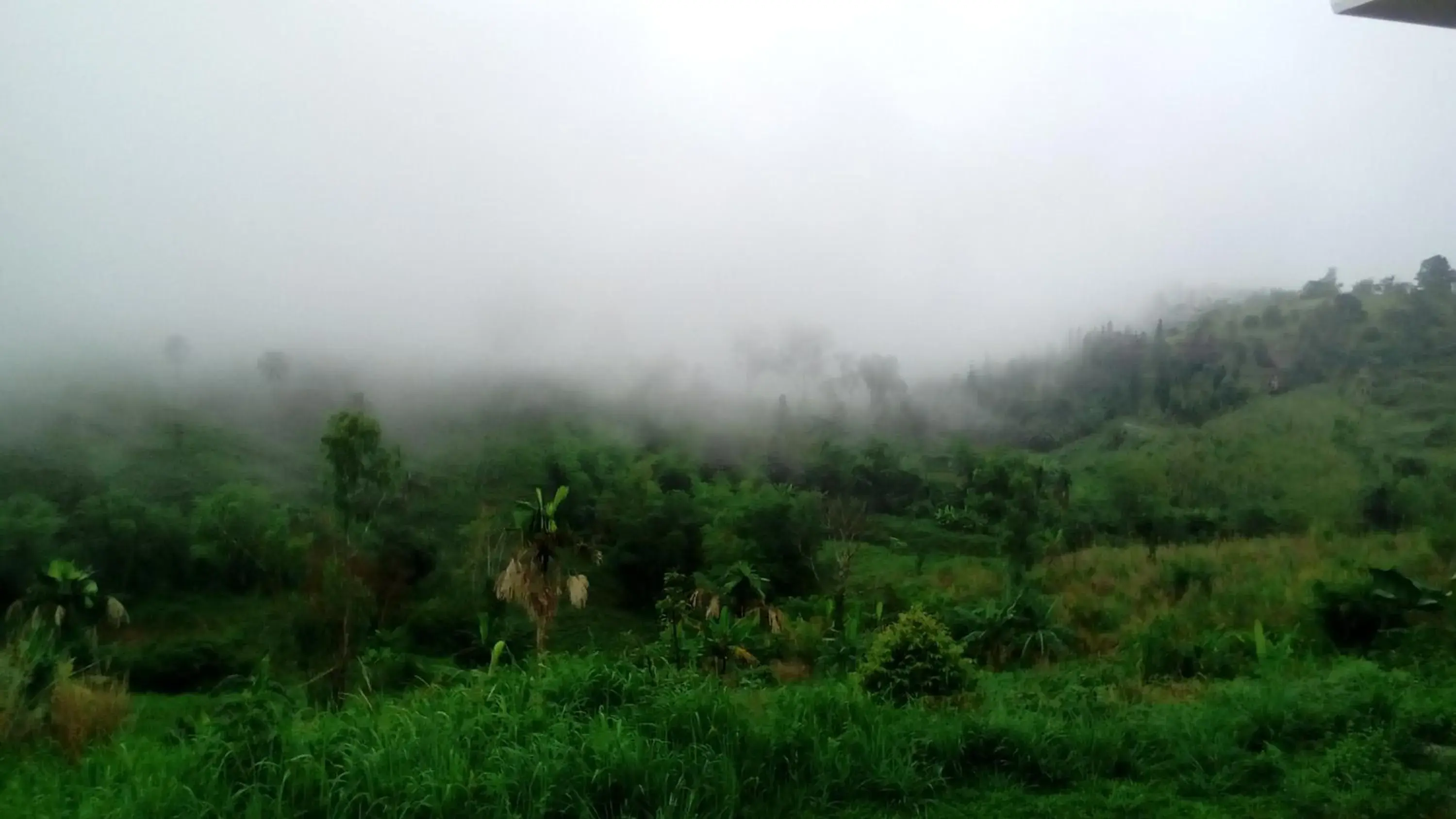 Mountain view in Lovely Farm Mountain view in Lovely Farm