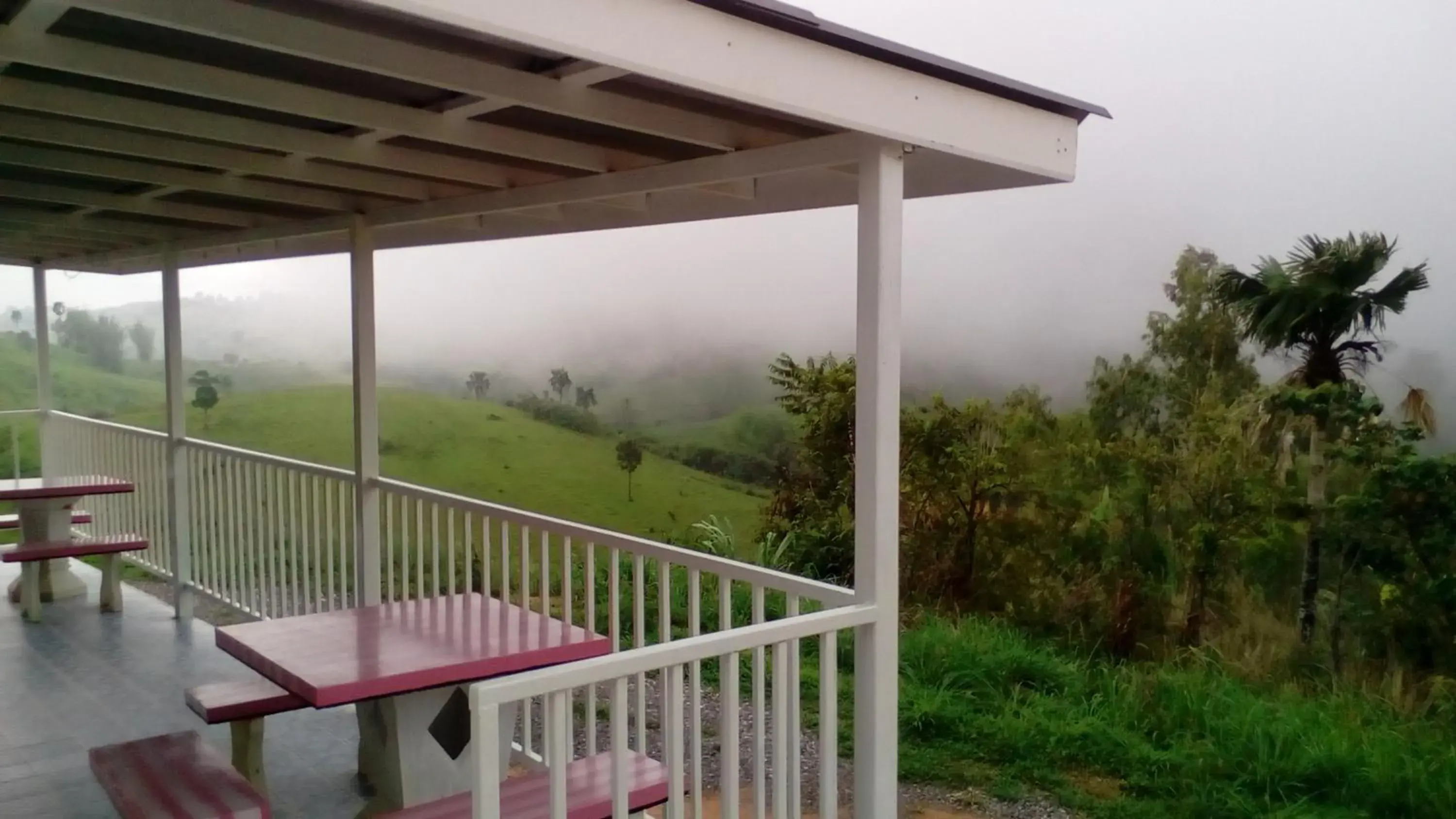 Mountain view in Lovely Farm Mountain view in Lovely Farm