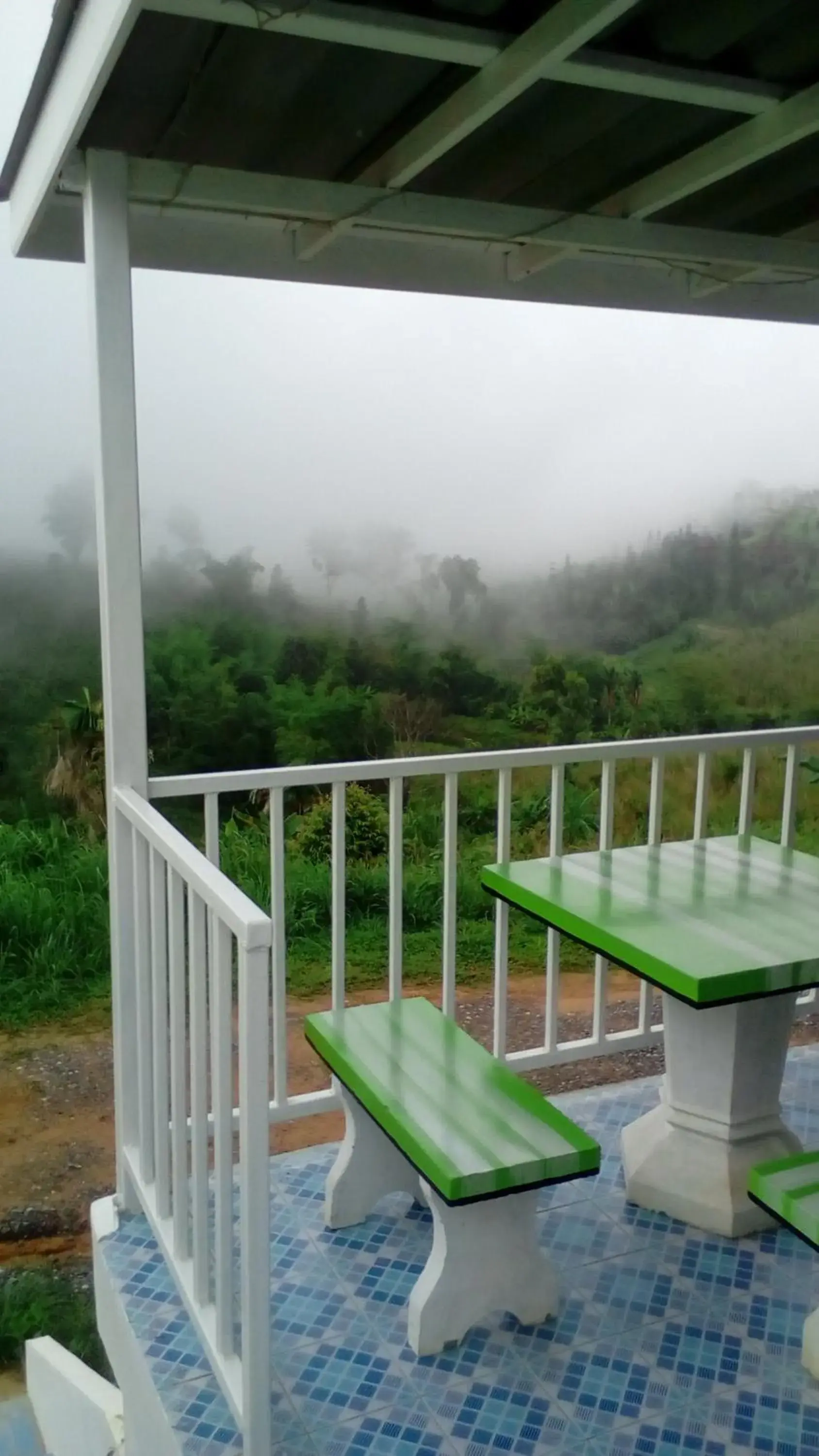 Mountain view in Lovely Farm Mountain view in Lovely Farm