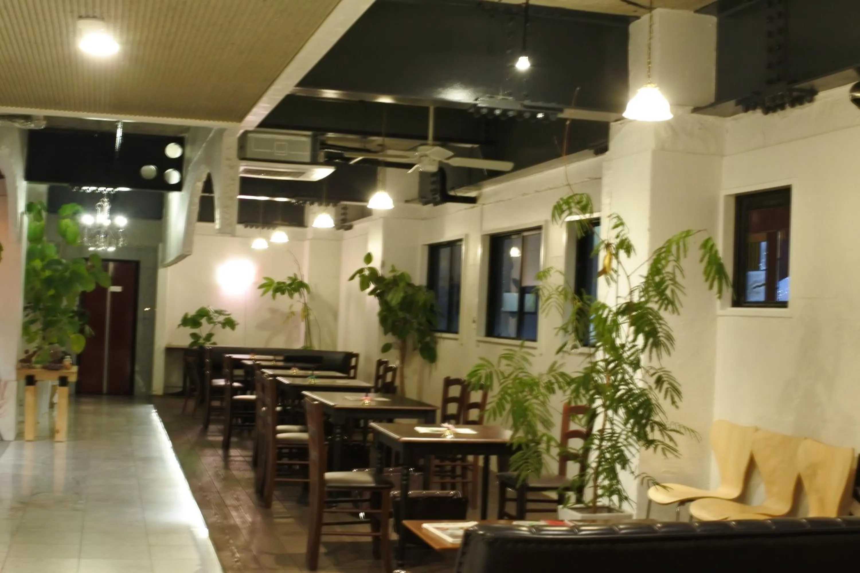 Restaurant/places to eat in Guest House M104 Kagoshima