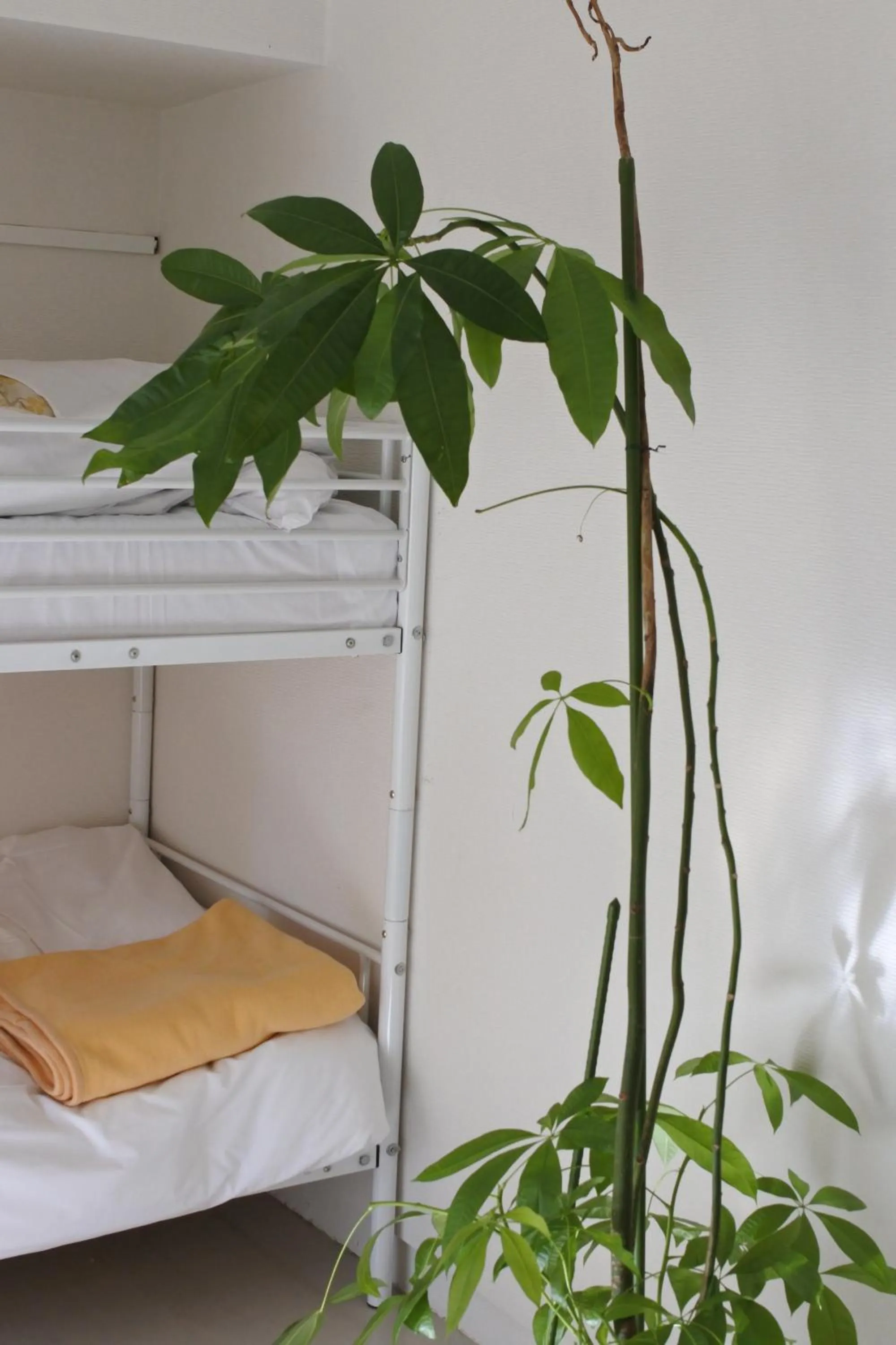 Decorative detail, Bed in Guest House M104 Kagoshima