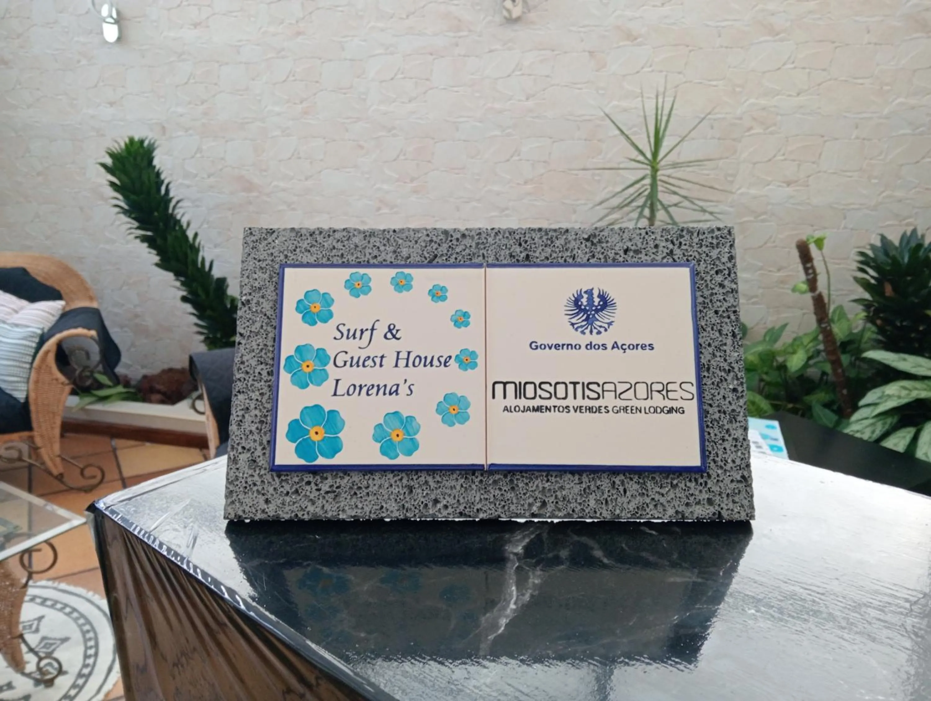Certificate/Award in Surf & Guest Lorena´s House