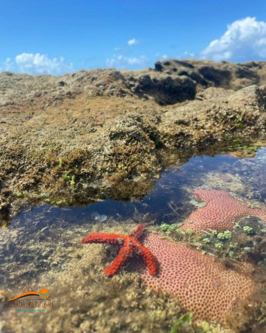 Natural landscape in Pousada Berimbau