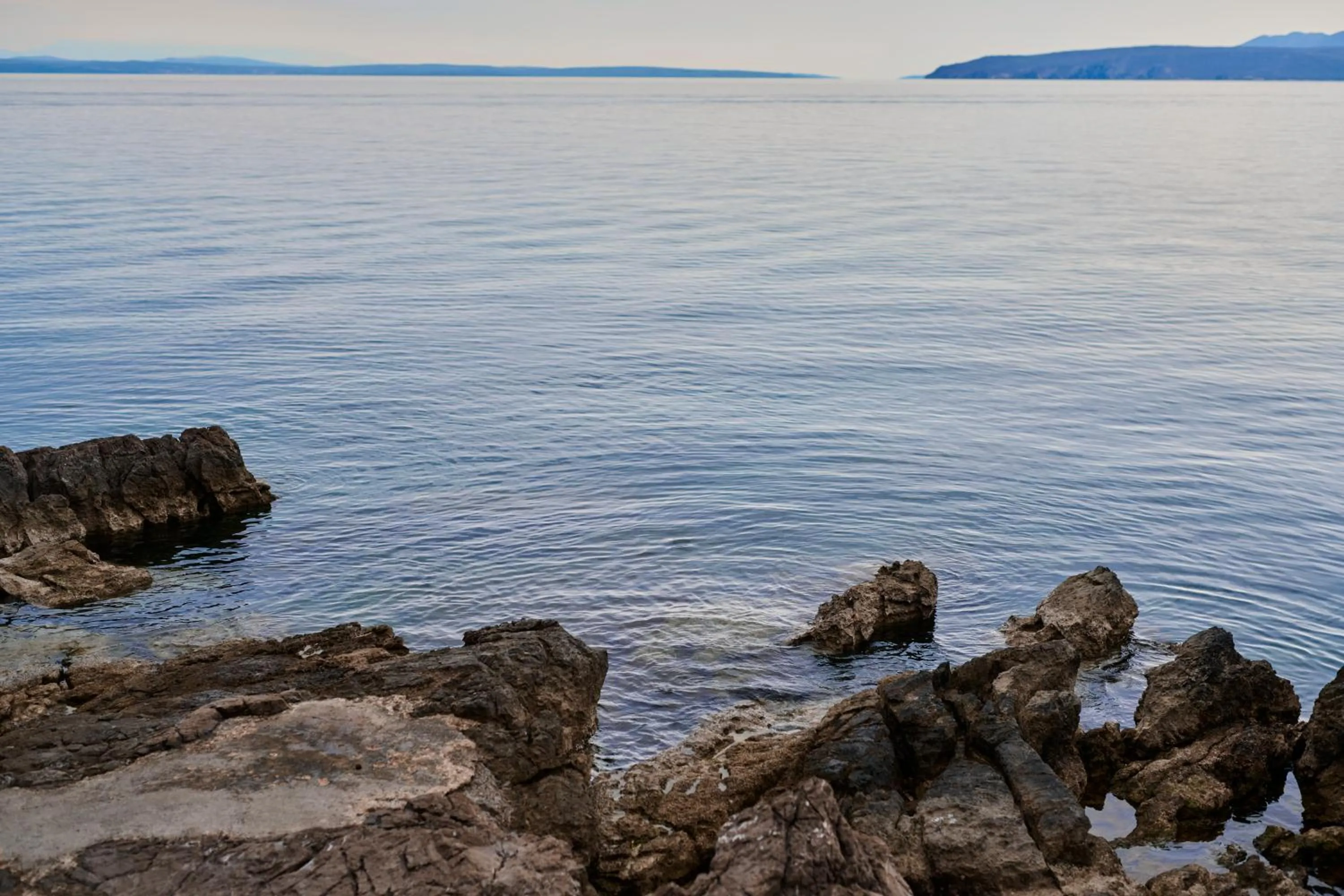 Area and facilities in Hotel Villa Schubert