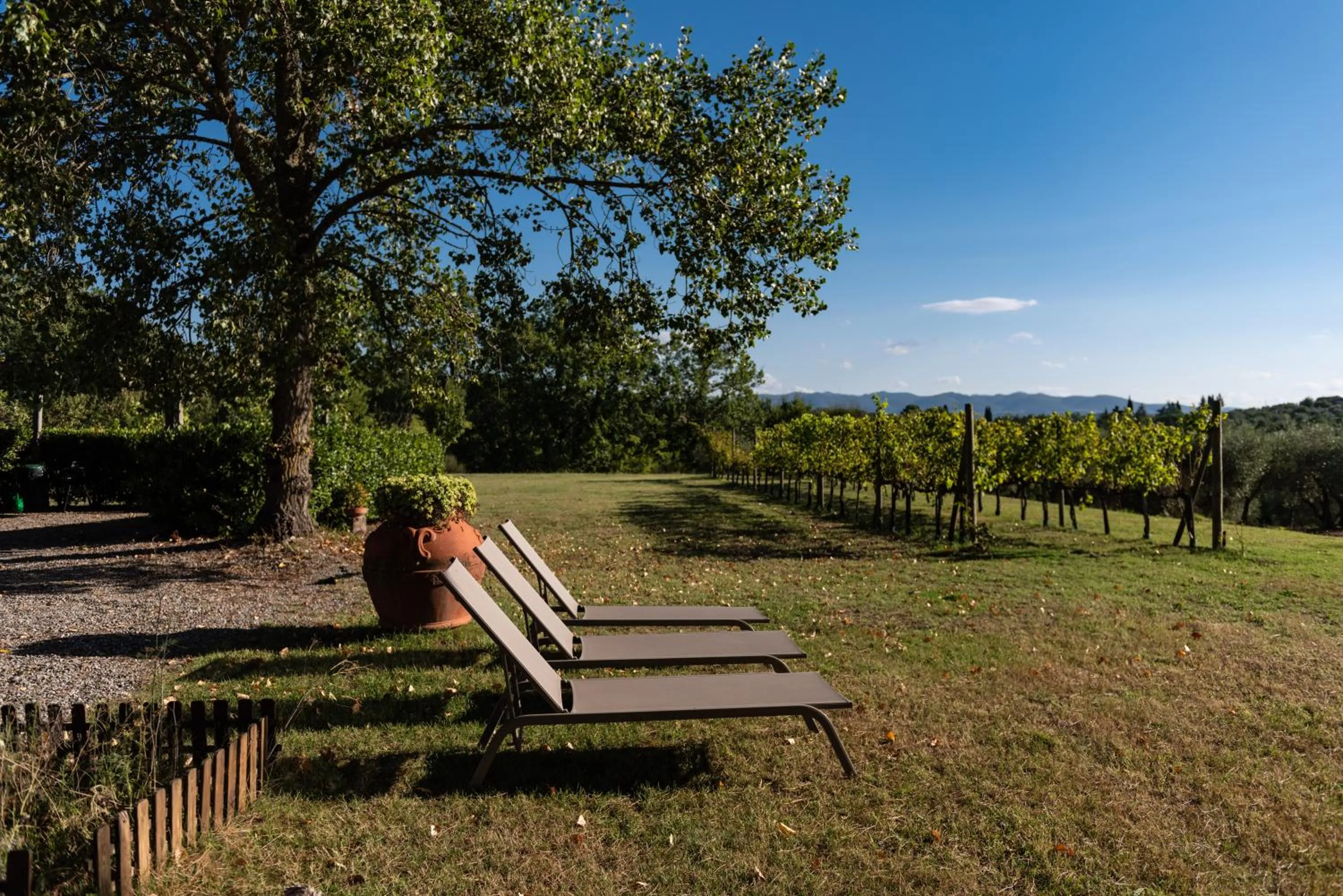 Garden view in Capanna