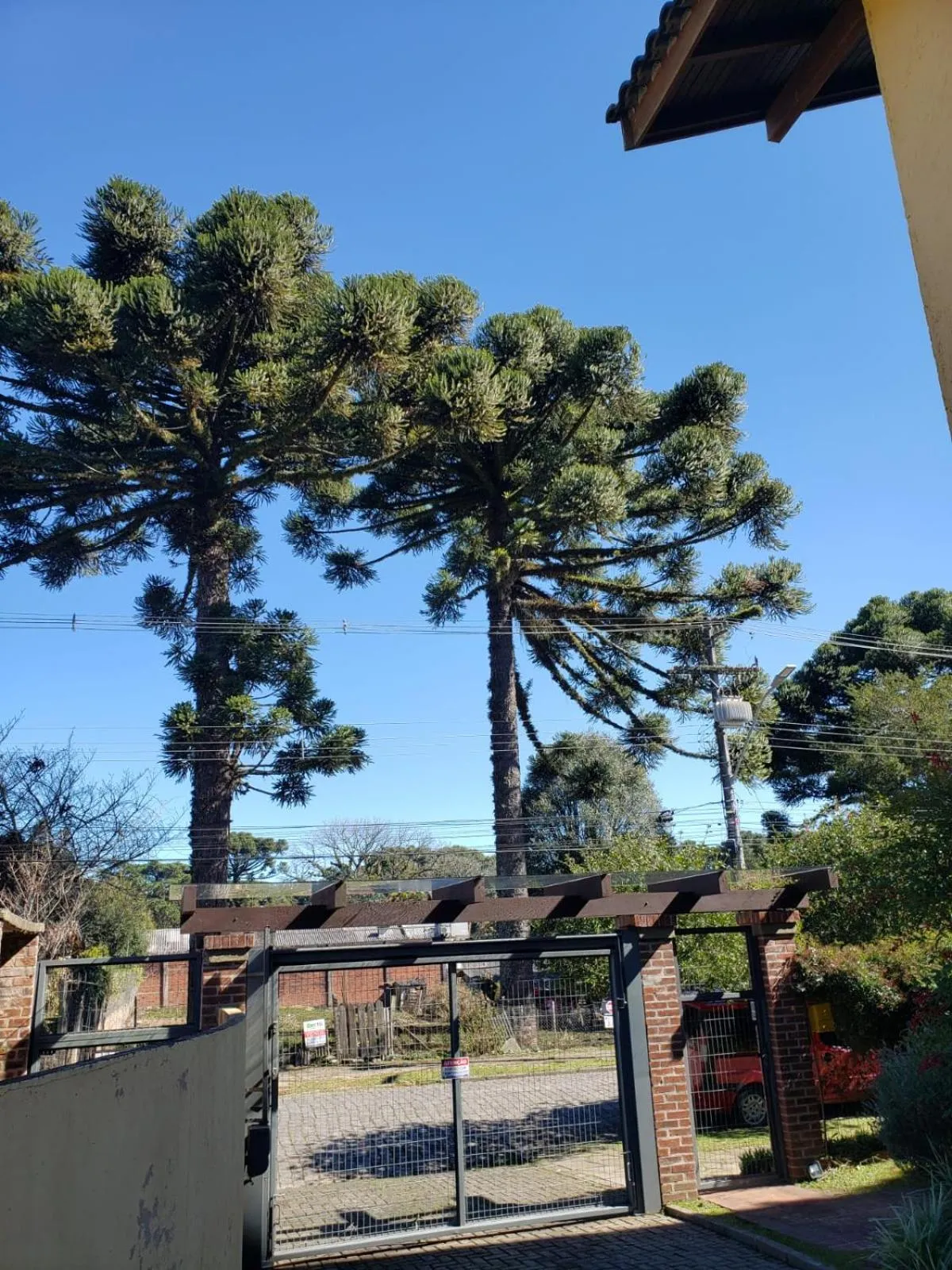 Day in Apartamento Flor de Canela