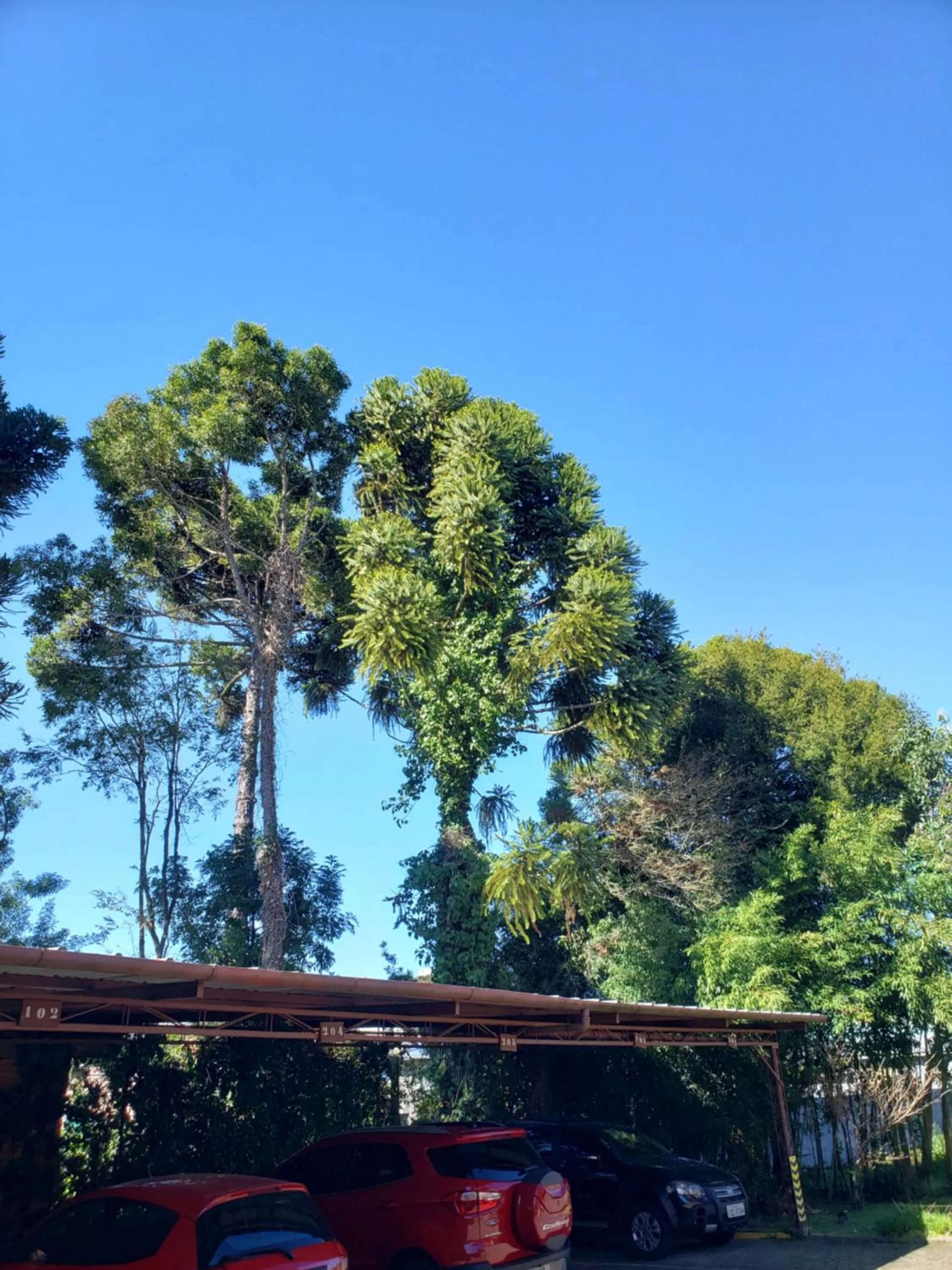 Inner courtyard view in Apartamento Flor de Canela