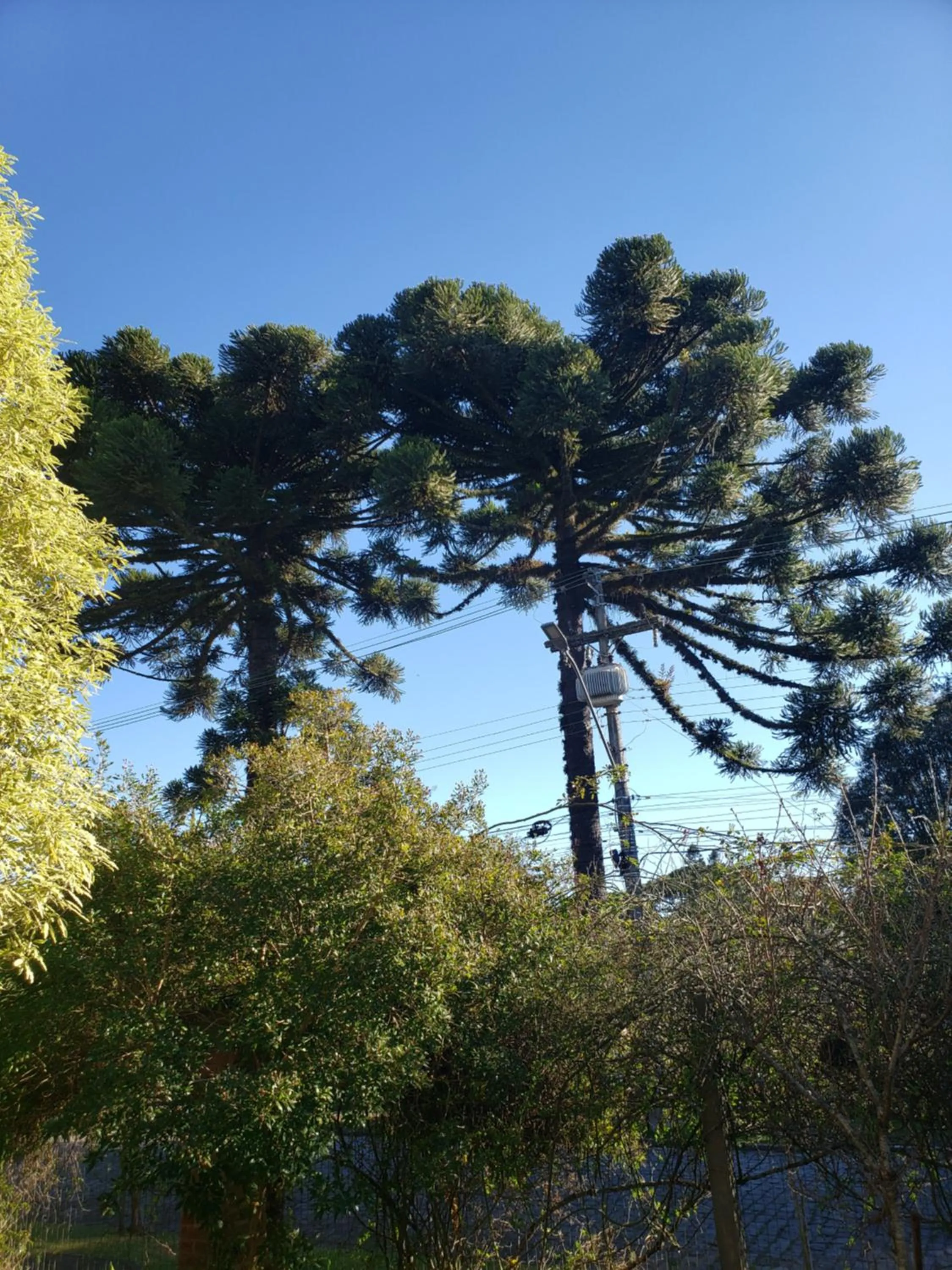 View (from property/room) in Apartamento Flor de Canela