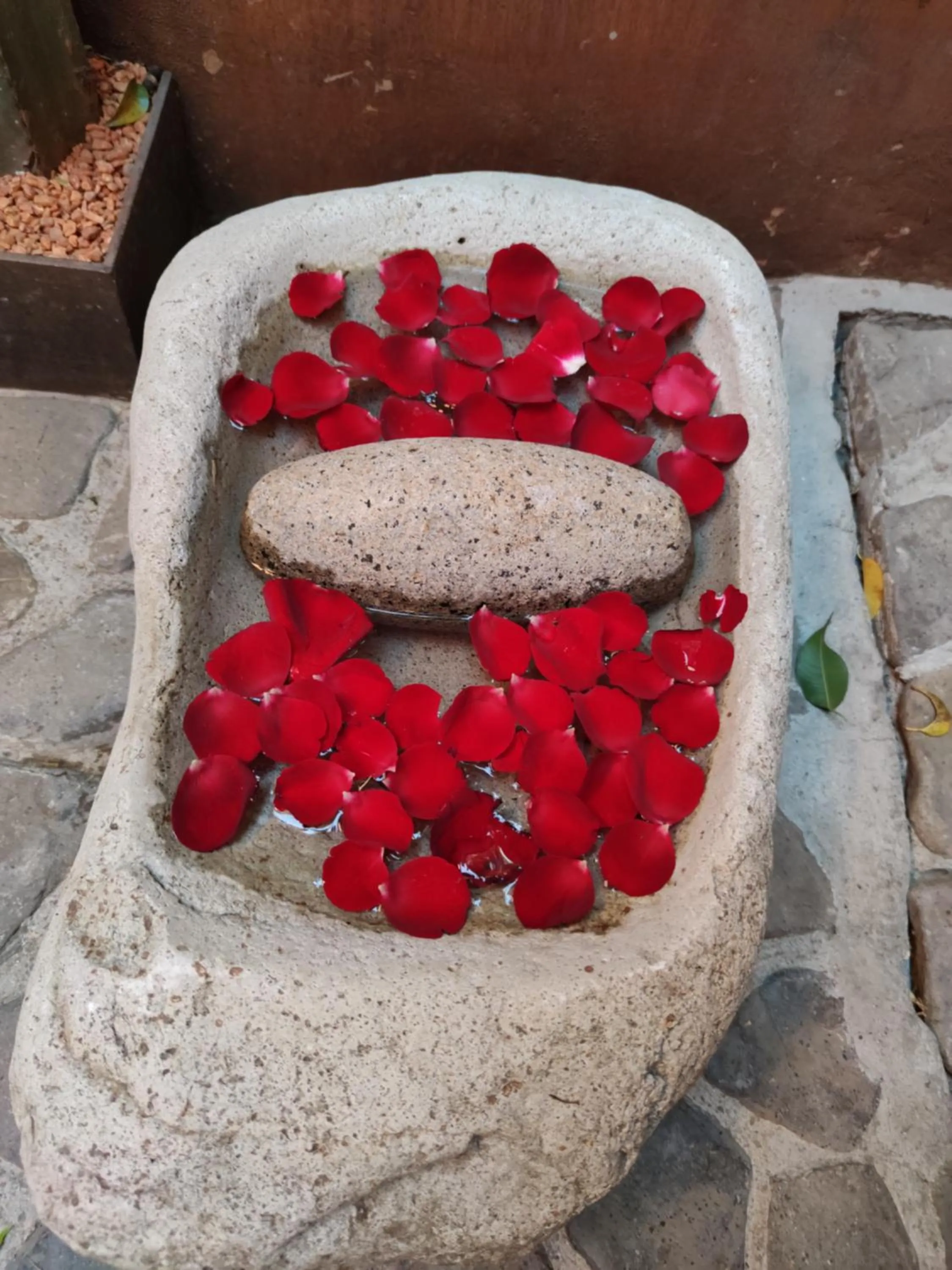 Patio in Casa Carmen Reforma