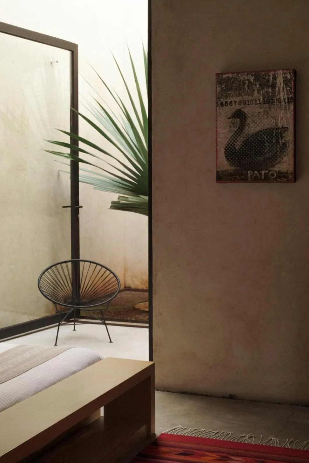 Photo of the whole room in Casa Carmen Reforma