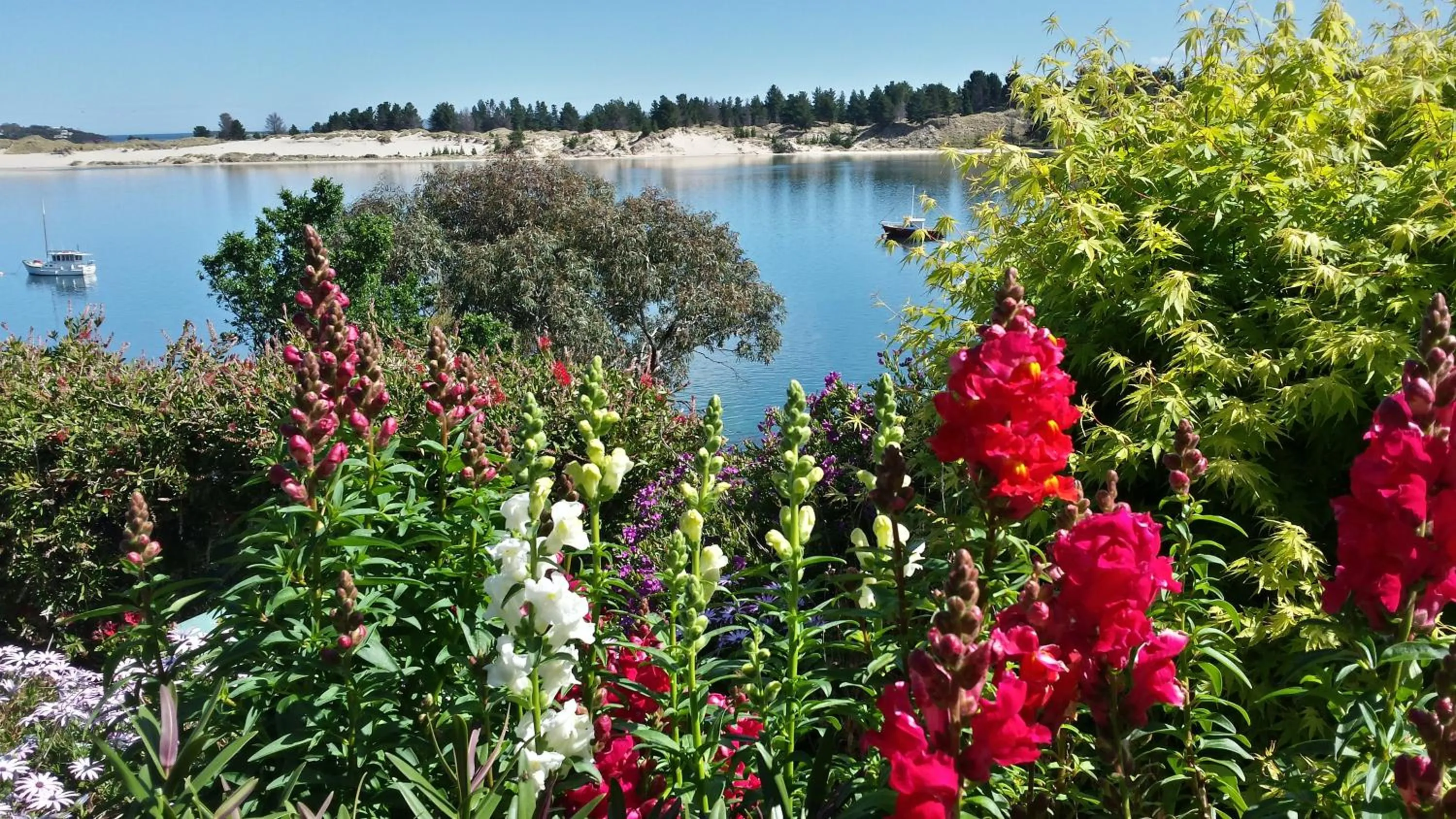 Garden view in Lewi Waters