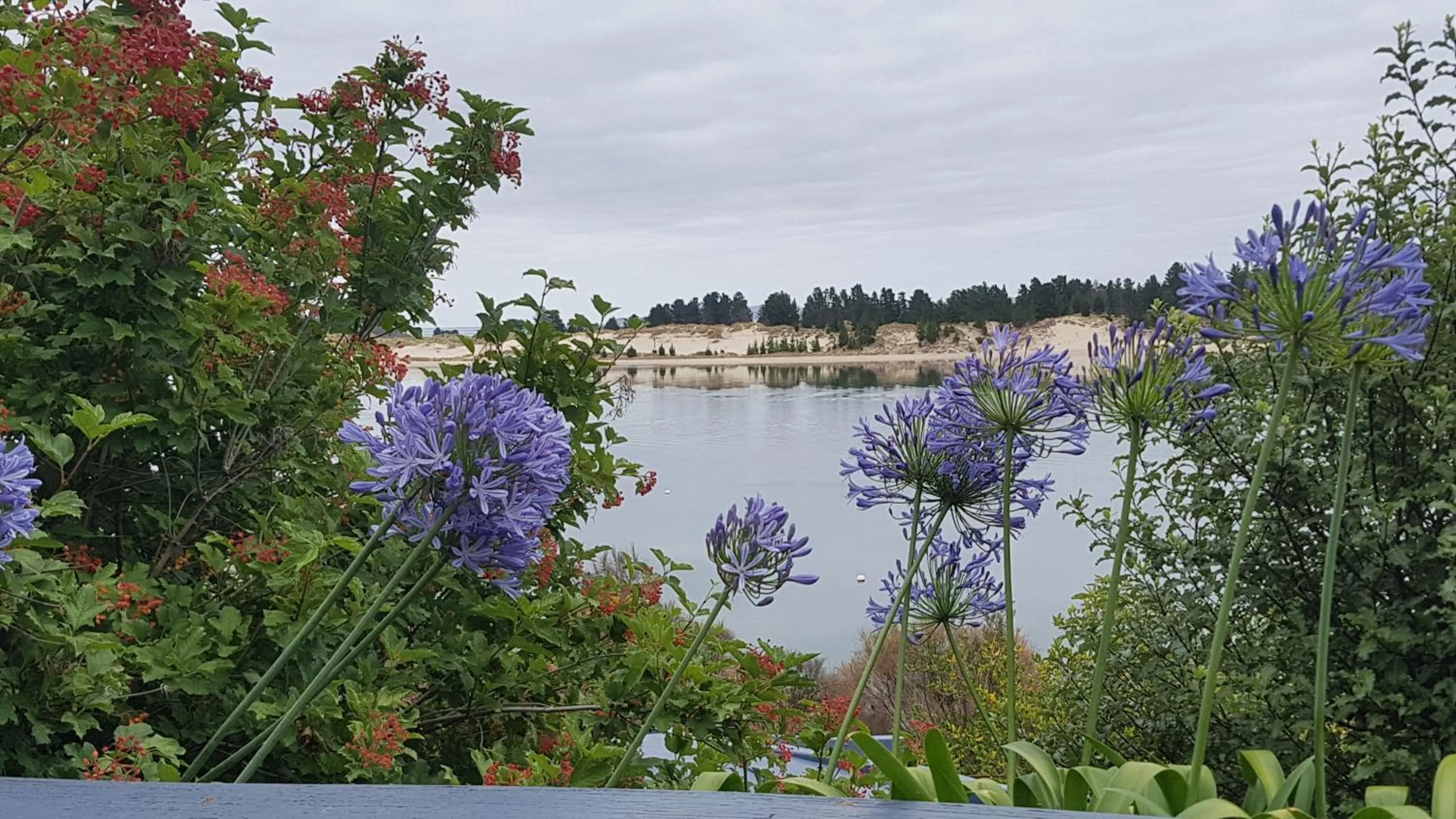 Garden view in Lewi Waters