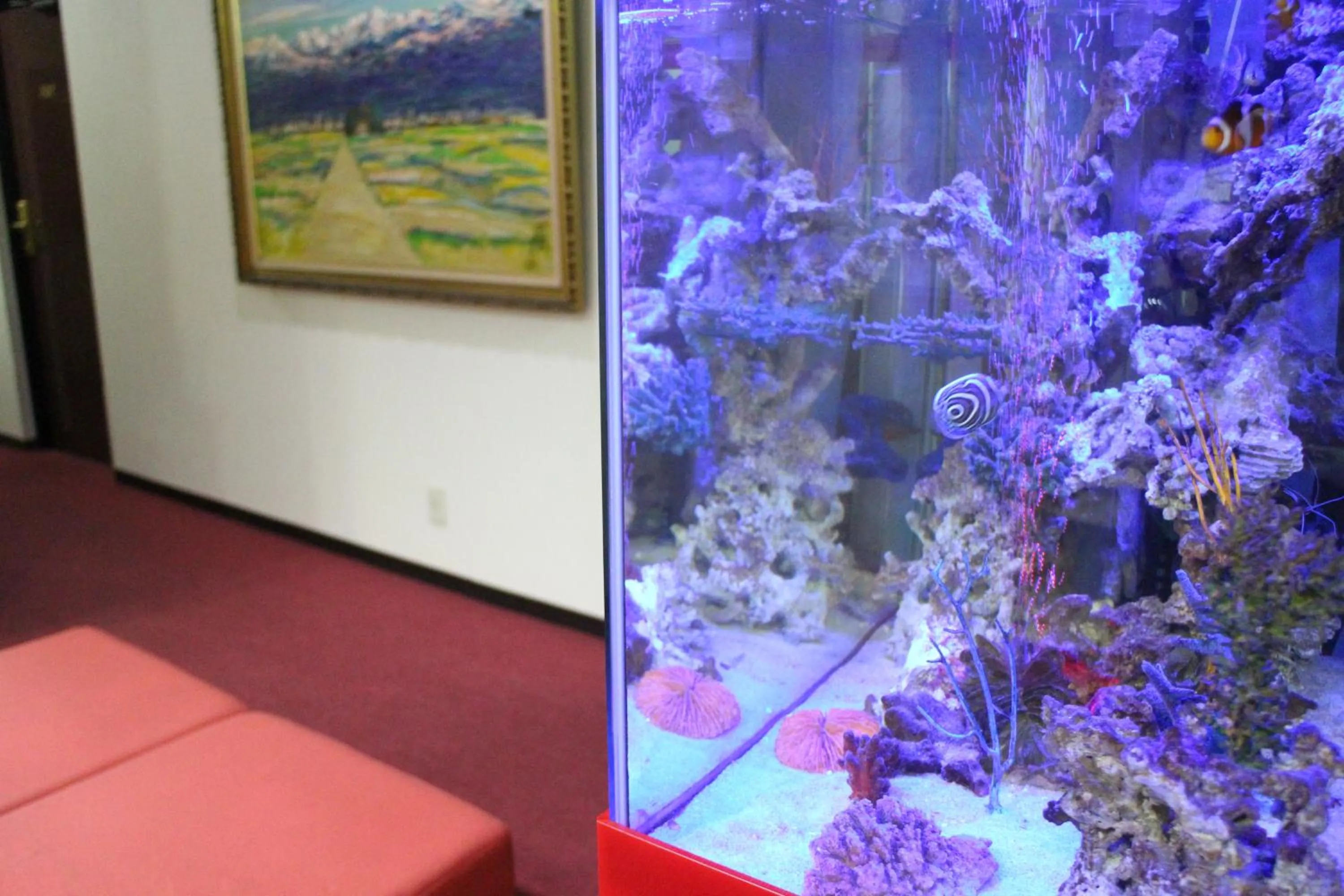 Facade/entrance in Business Hotel Raicho