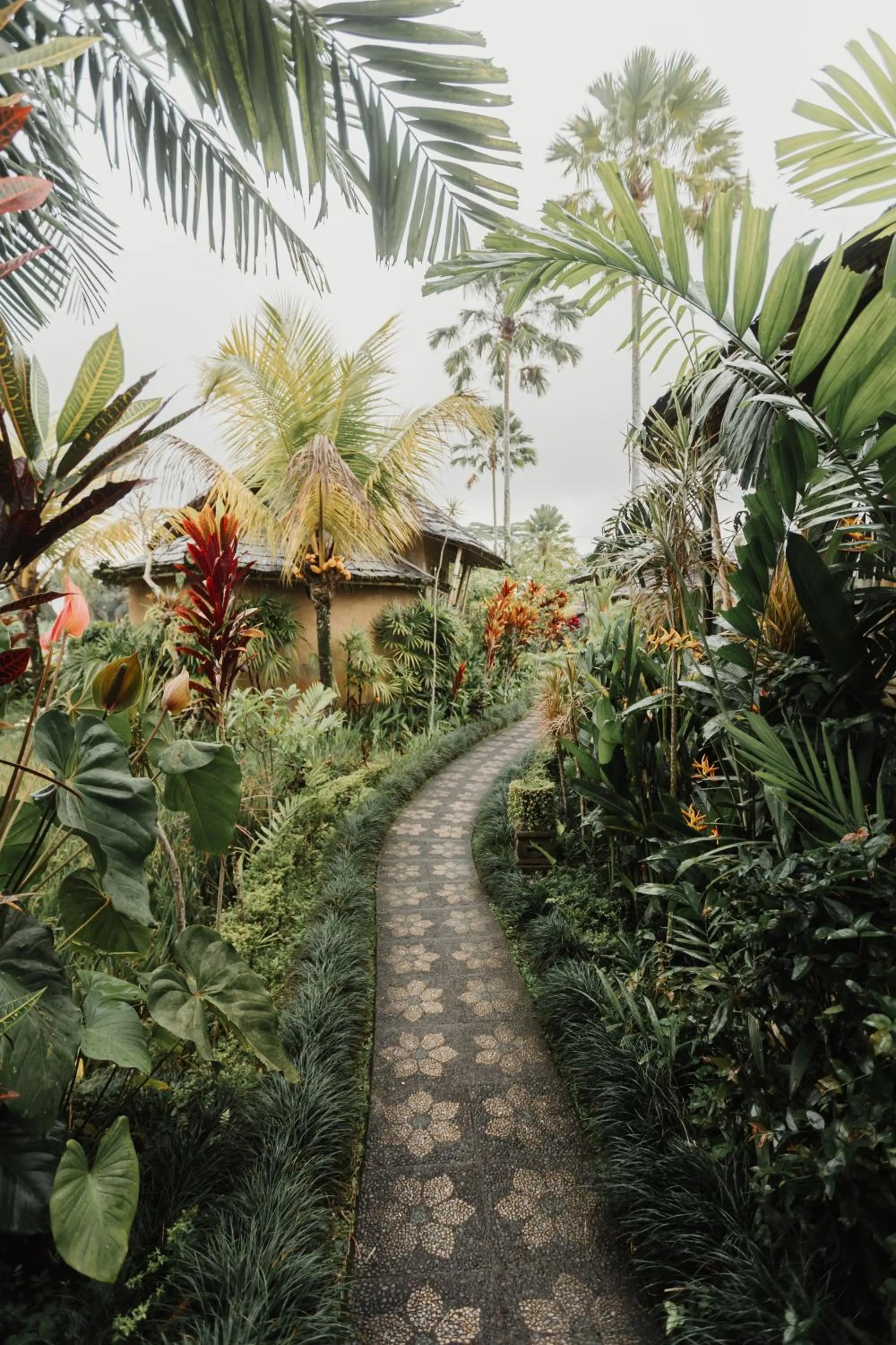 Property building in Padi Bali Retreat