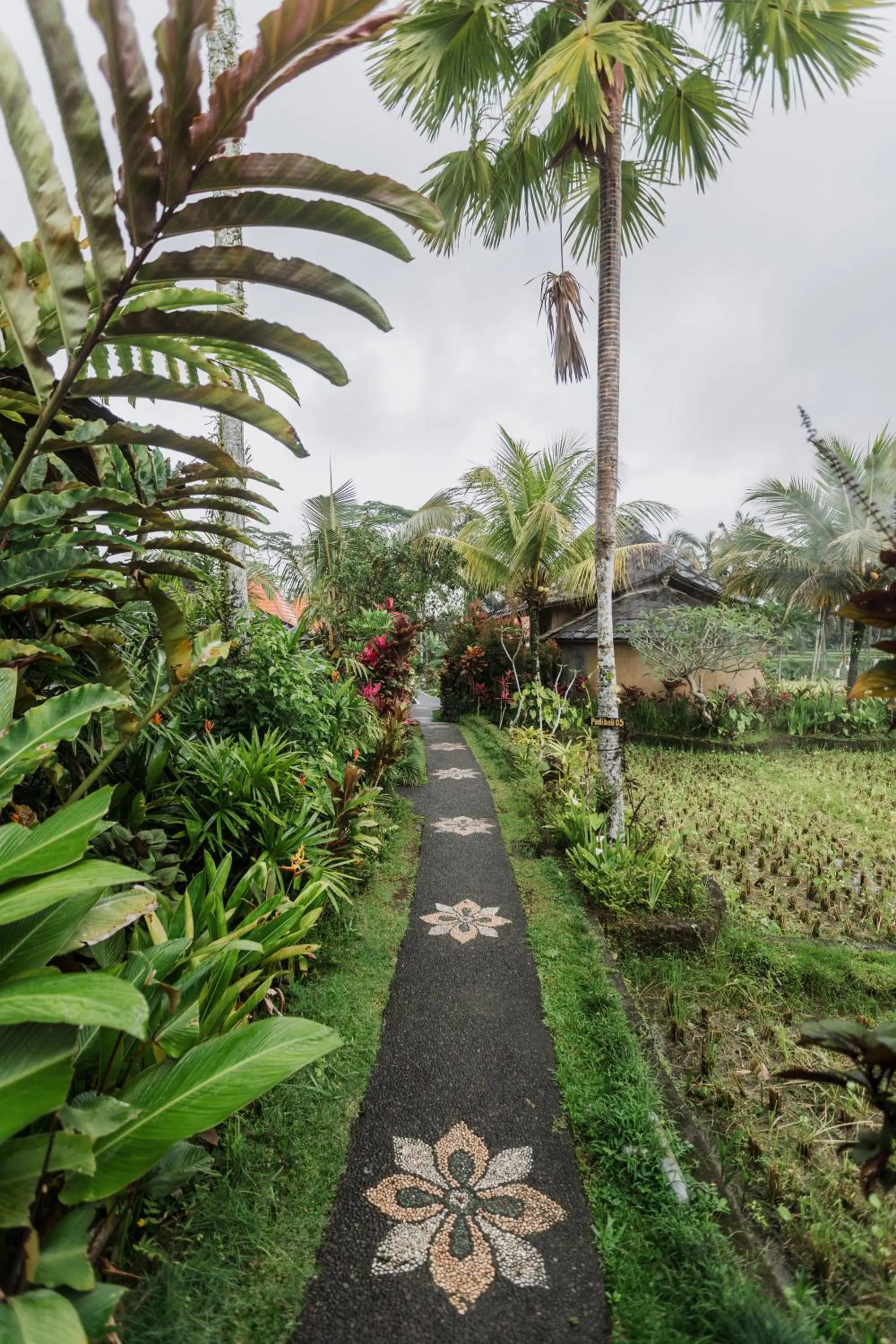 Property building in Padi Bali Retreat