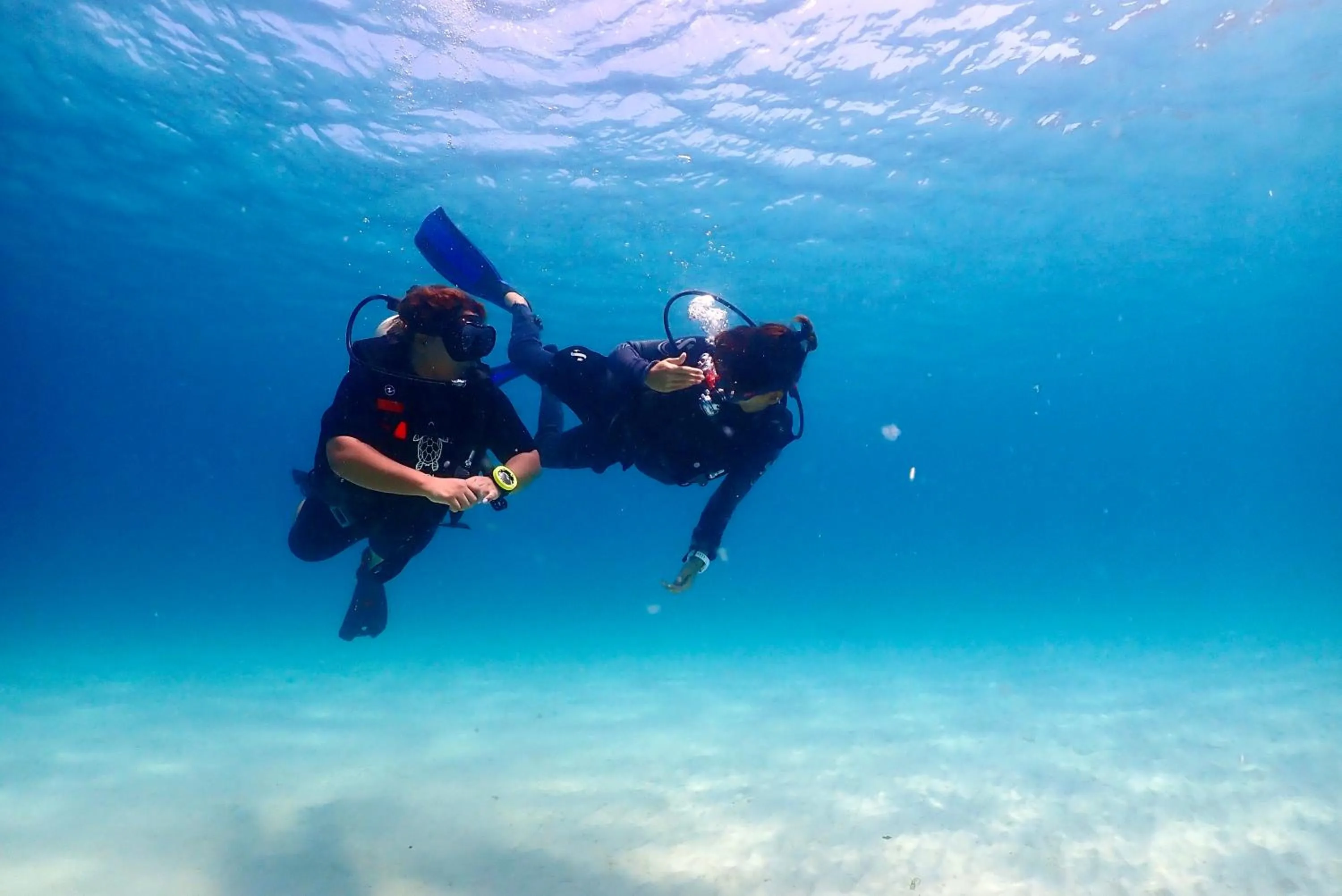 Diving in The Dearly Koh Tao Hostel-PADI 5 Star Dive Resort