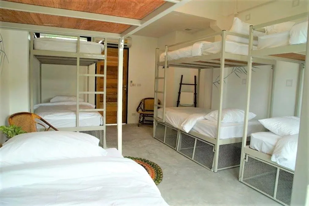 Photo of the whole room, Bed in The Dearly Koh Tao Hostel-PADI 5 Star Dive Resort