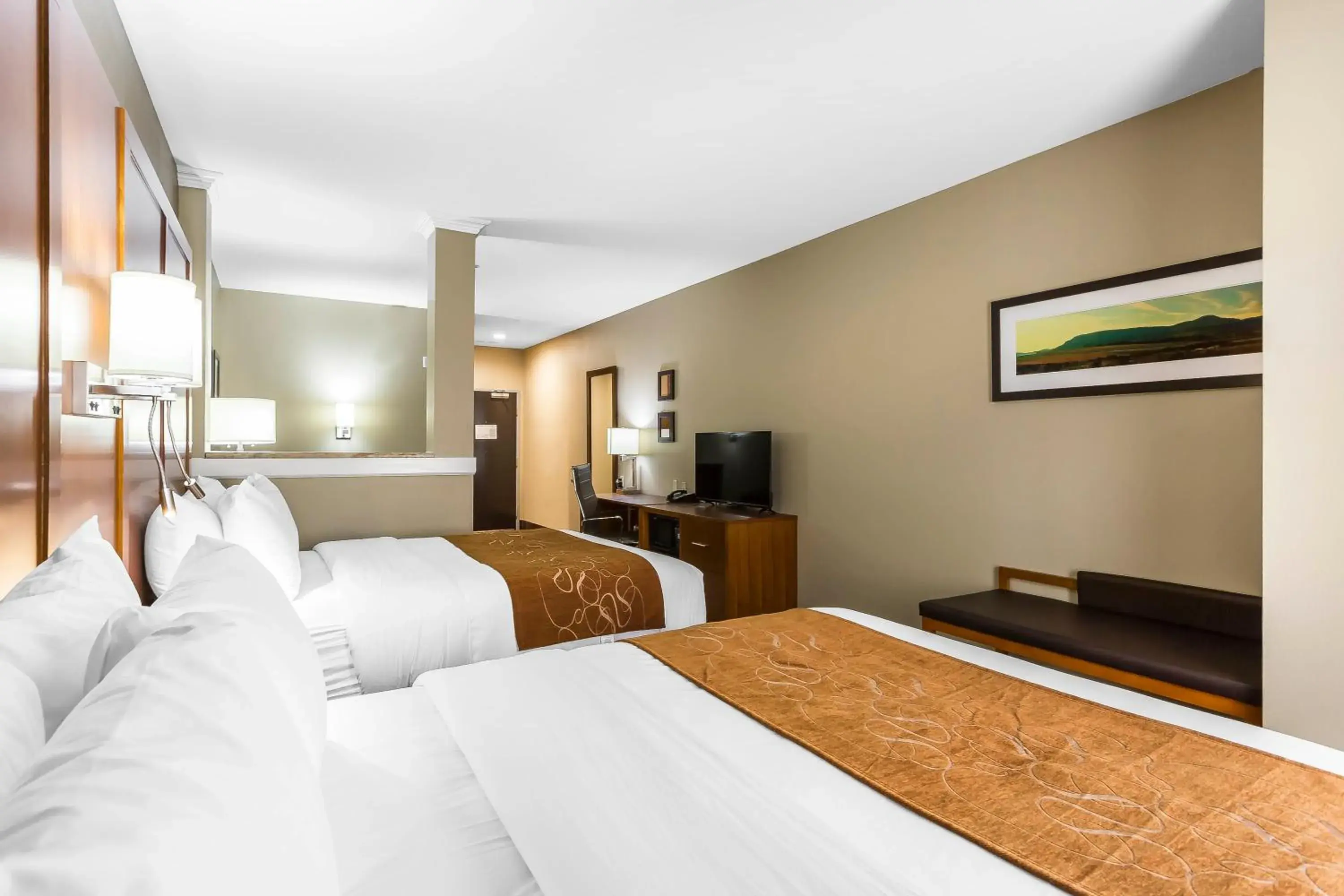 Bed in Comfort Suites - University Bed in Comfort Suites - University