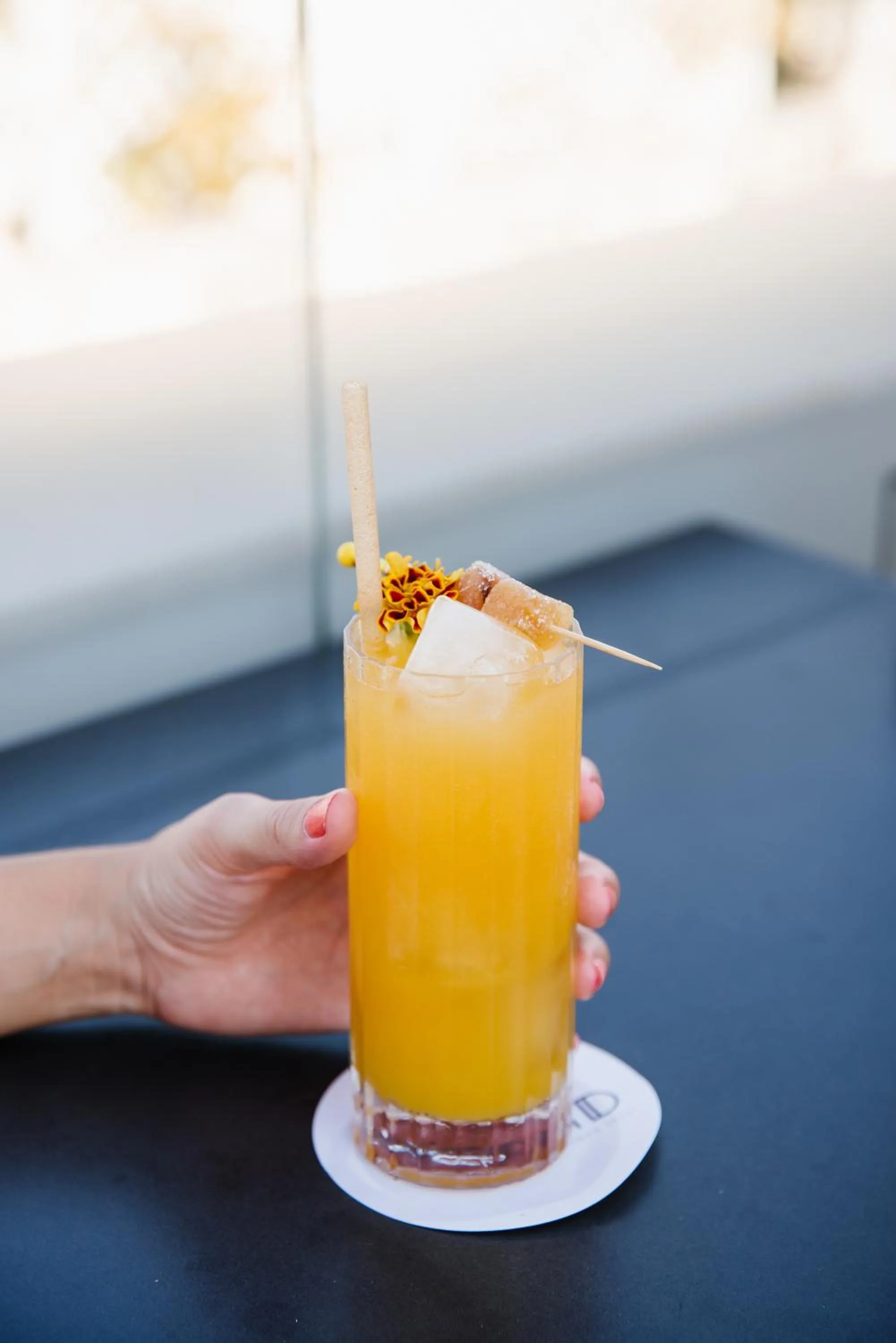 Food and drinks in MYR Marqués House