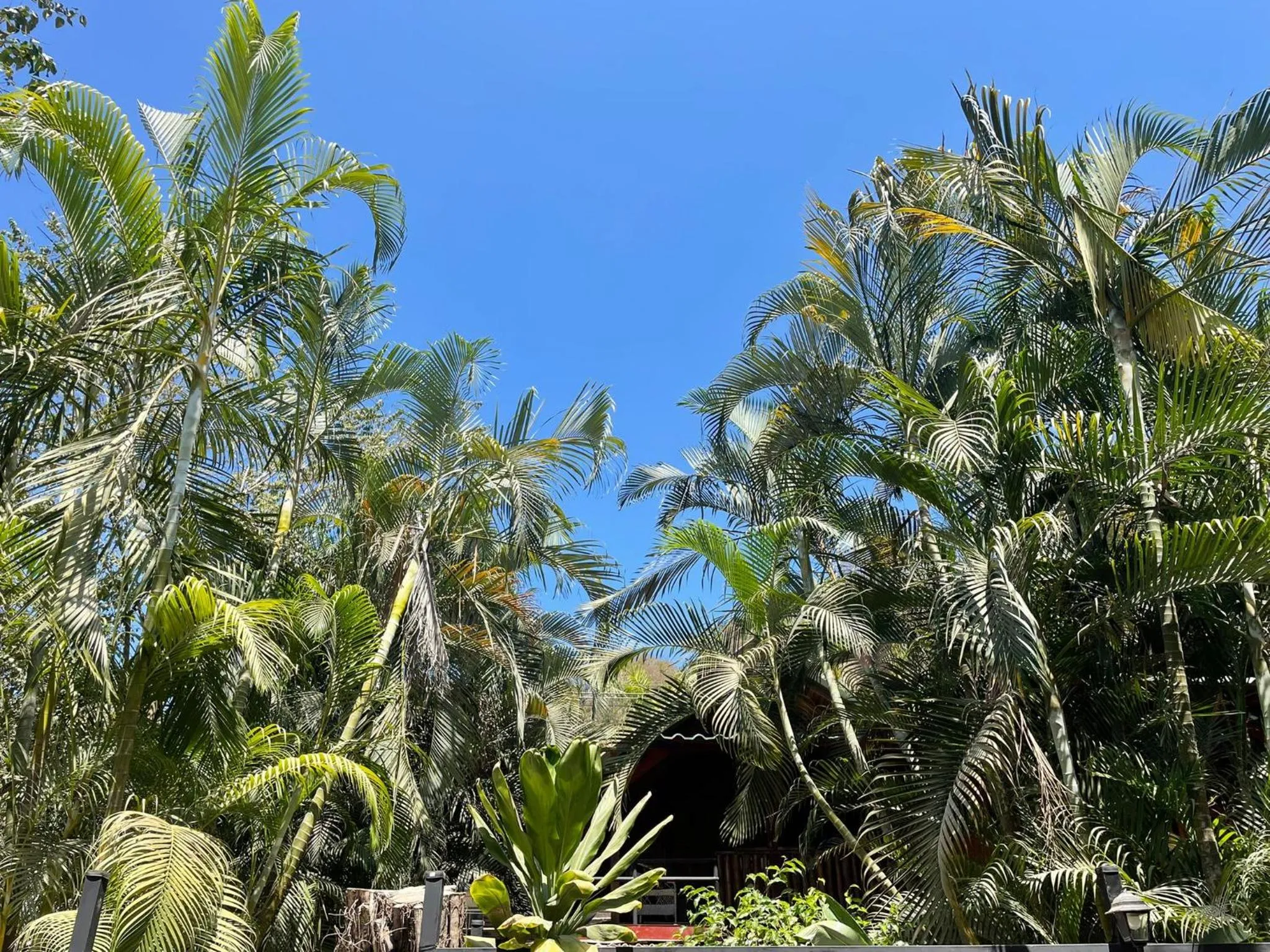 Property building in Beach Cabinas