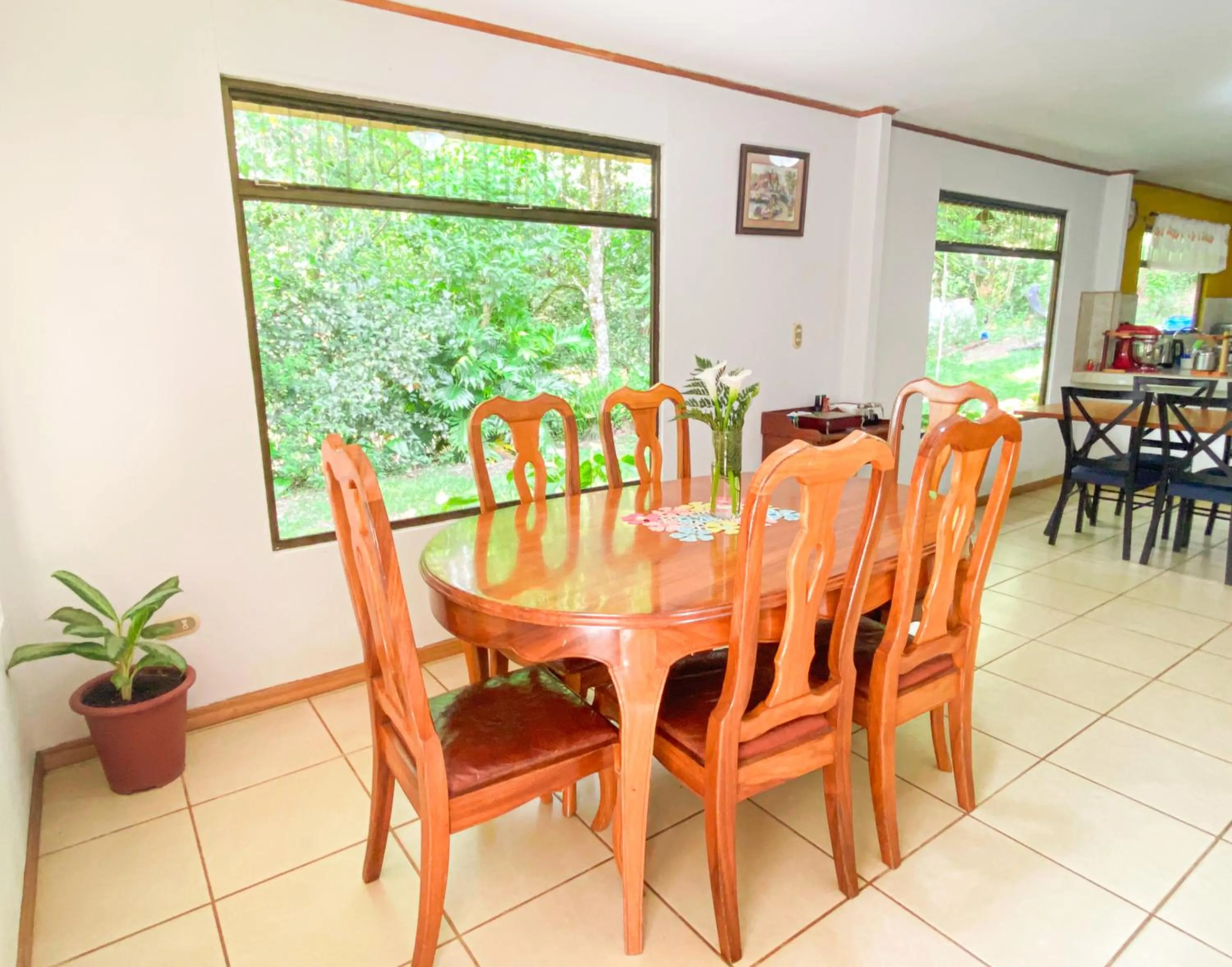 Restaurant/Places to Eat in Casa Rayo de Luna