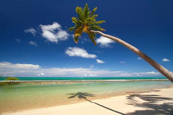 Flat Carneiros Beach Resort