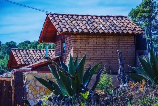 Lobby or reception in Luchita Mia Eco Cabañas Boutique