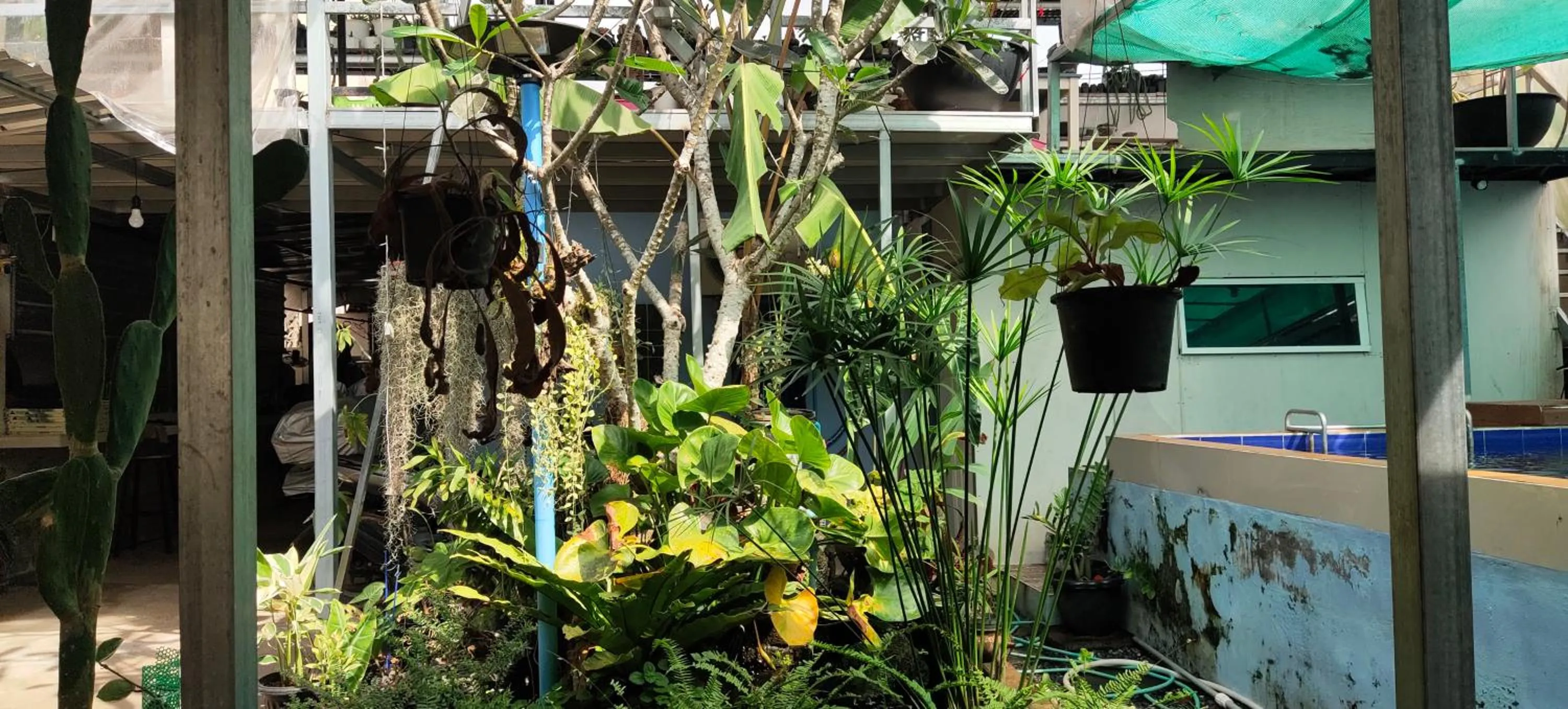 Baan Asree homestayบ้านอัสรี