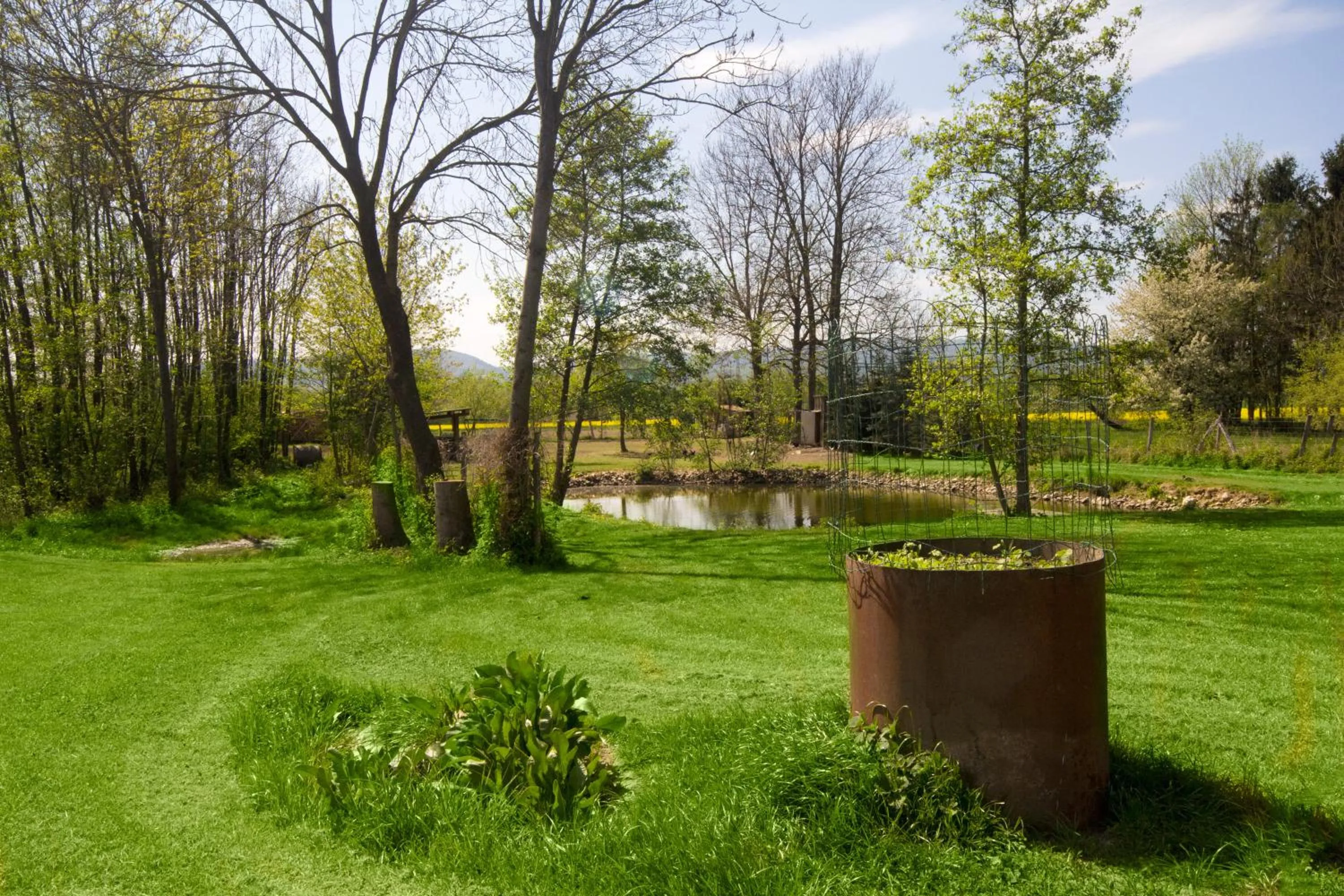 Garden in Dorfgasthof Berlakovich