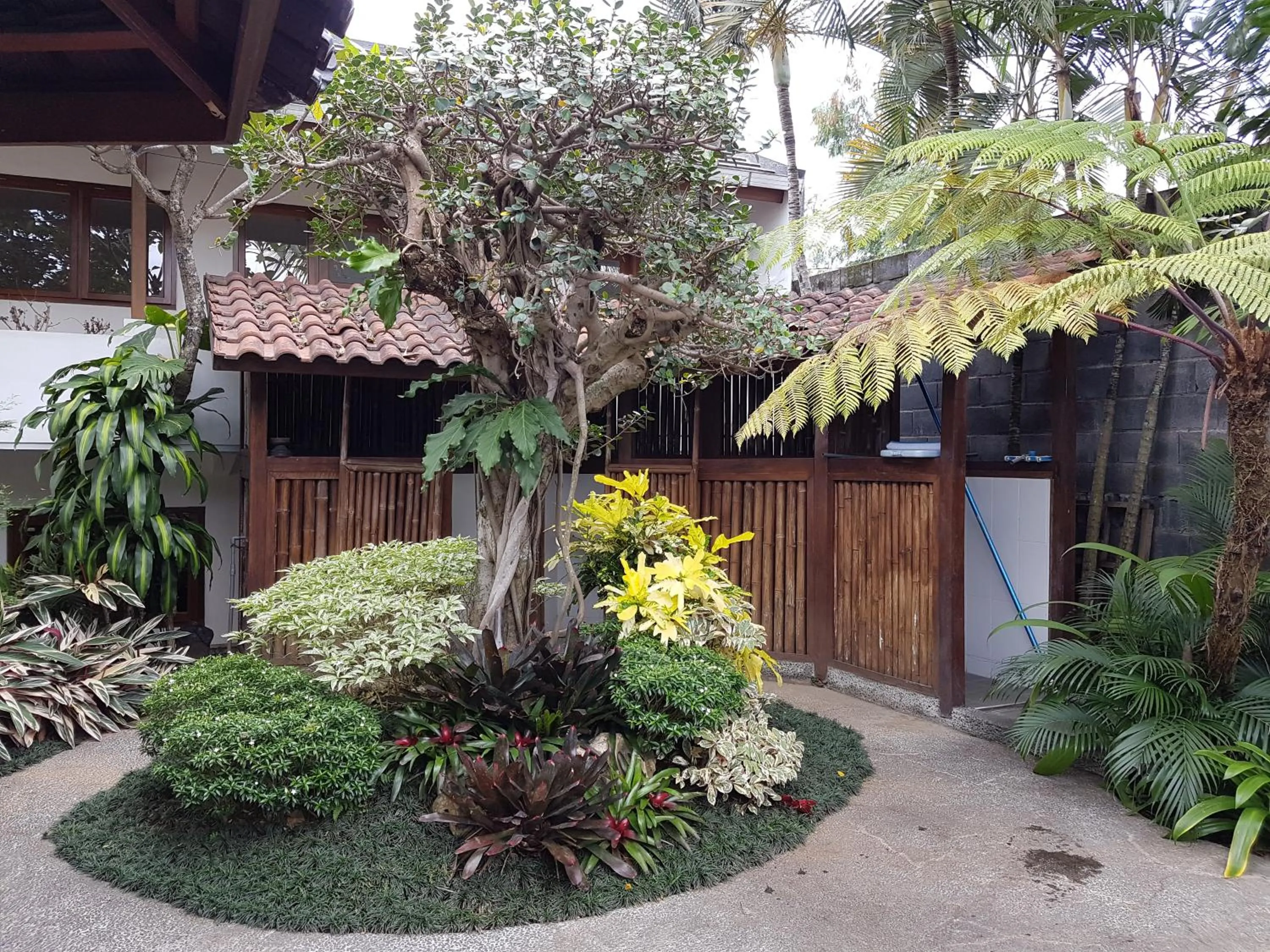 Garden in Jos & Hanny Homestay