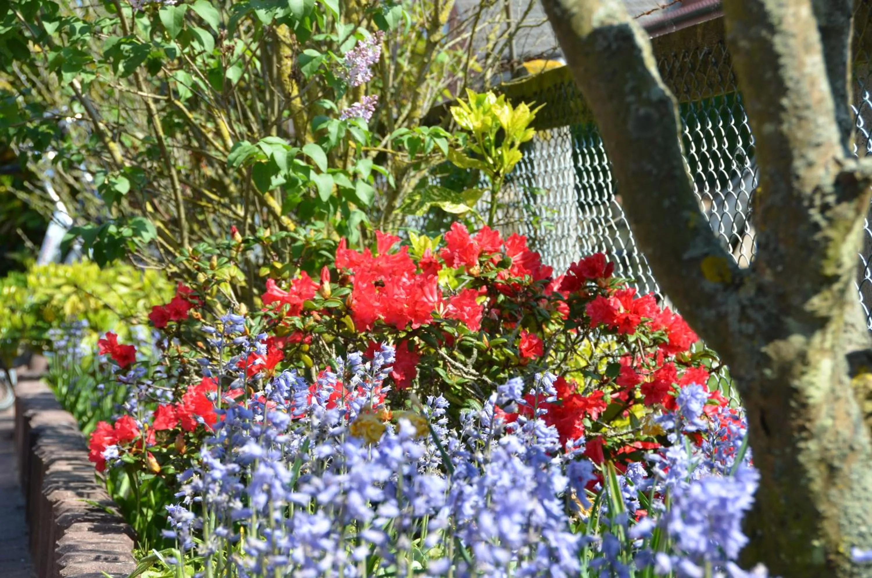 Patio in Ferienhaus Daheim