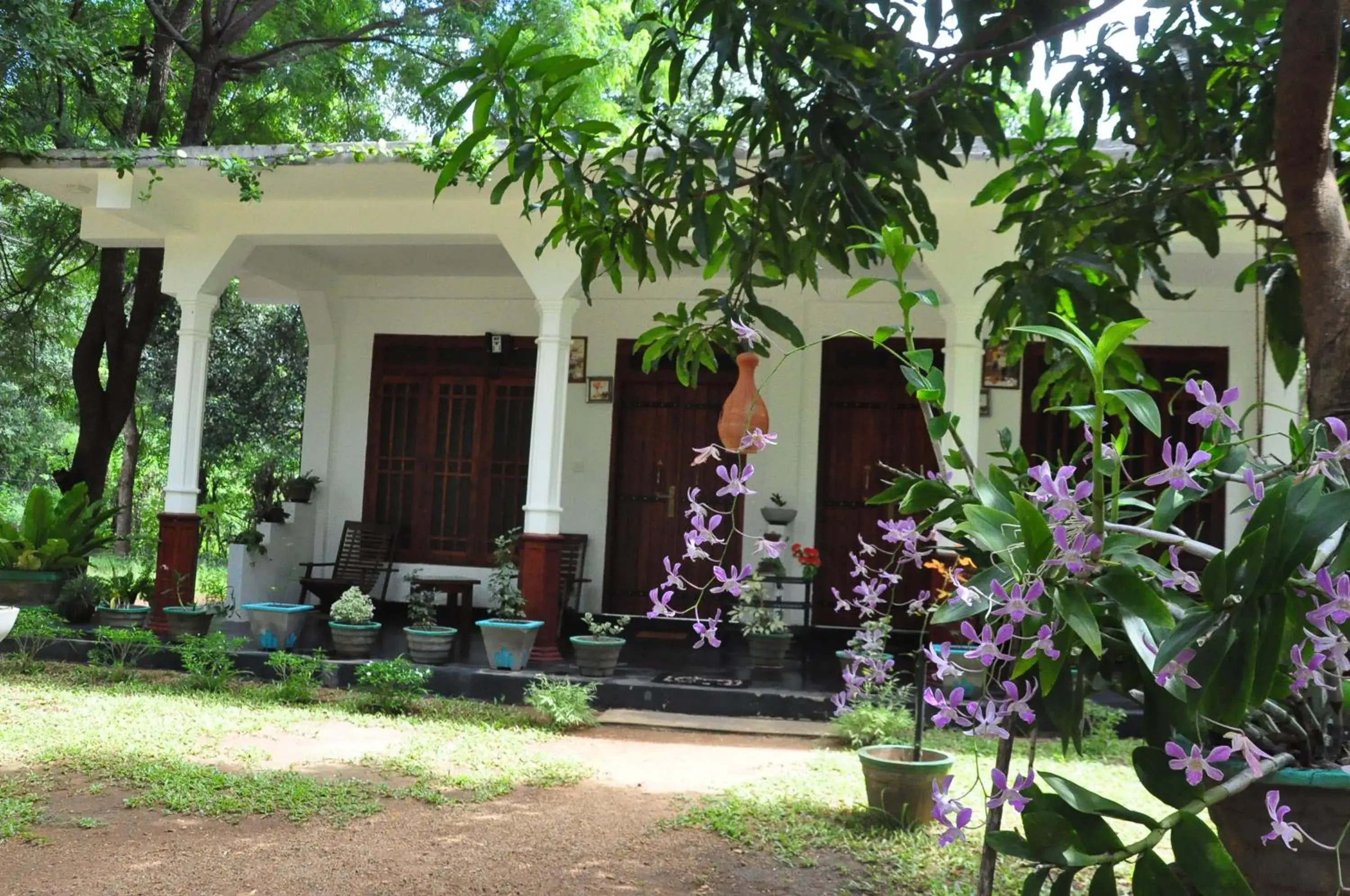 sigiriya flower guest sigiriya flower guest