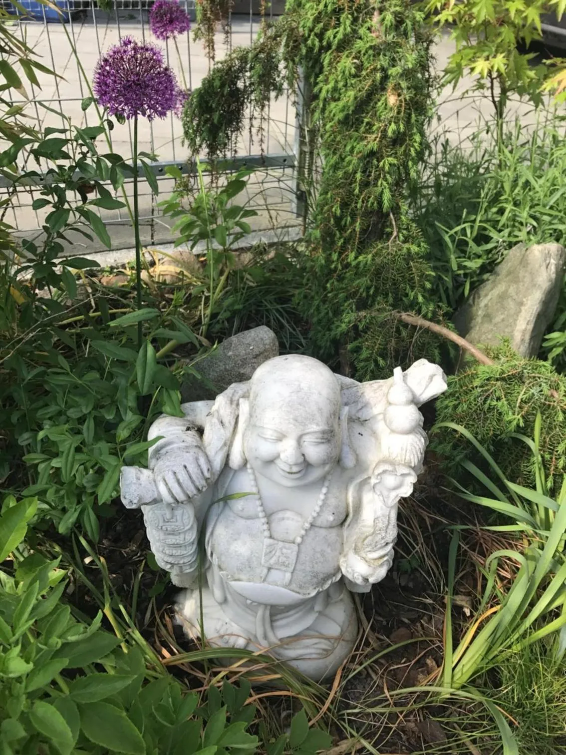 Garden in Wind und Wetter