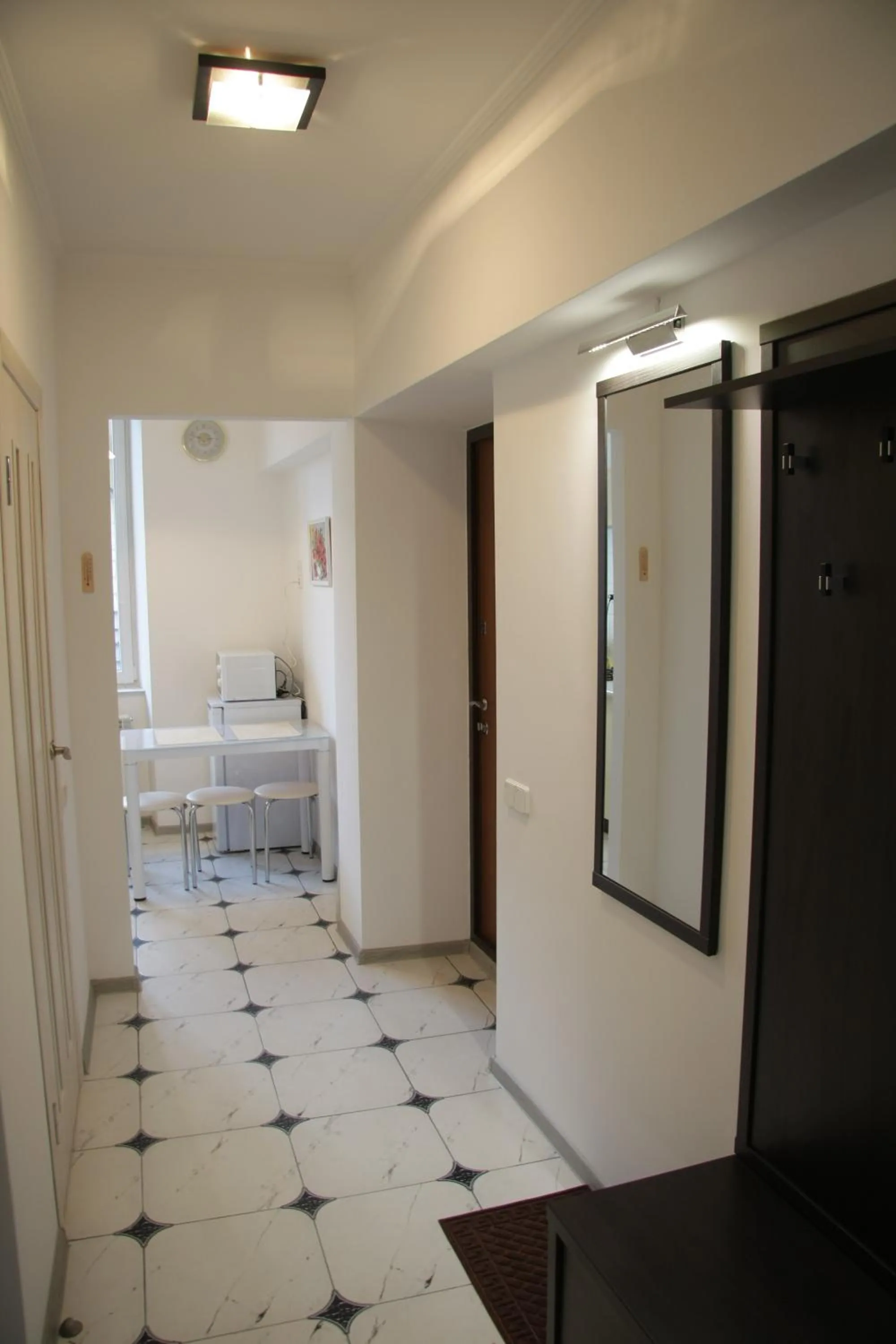 Apartment on Virmenska street 2